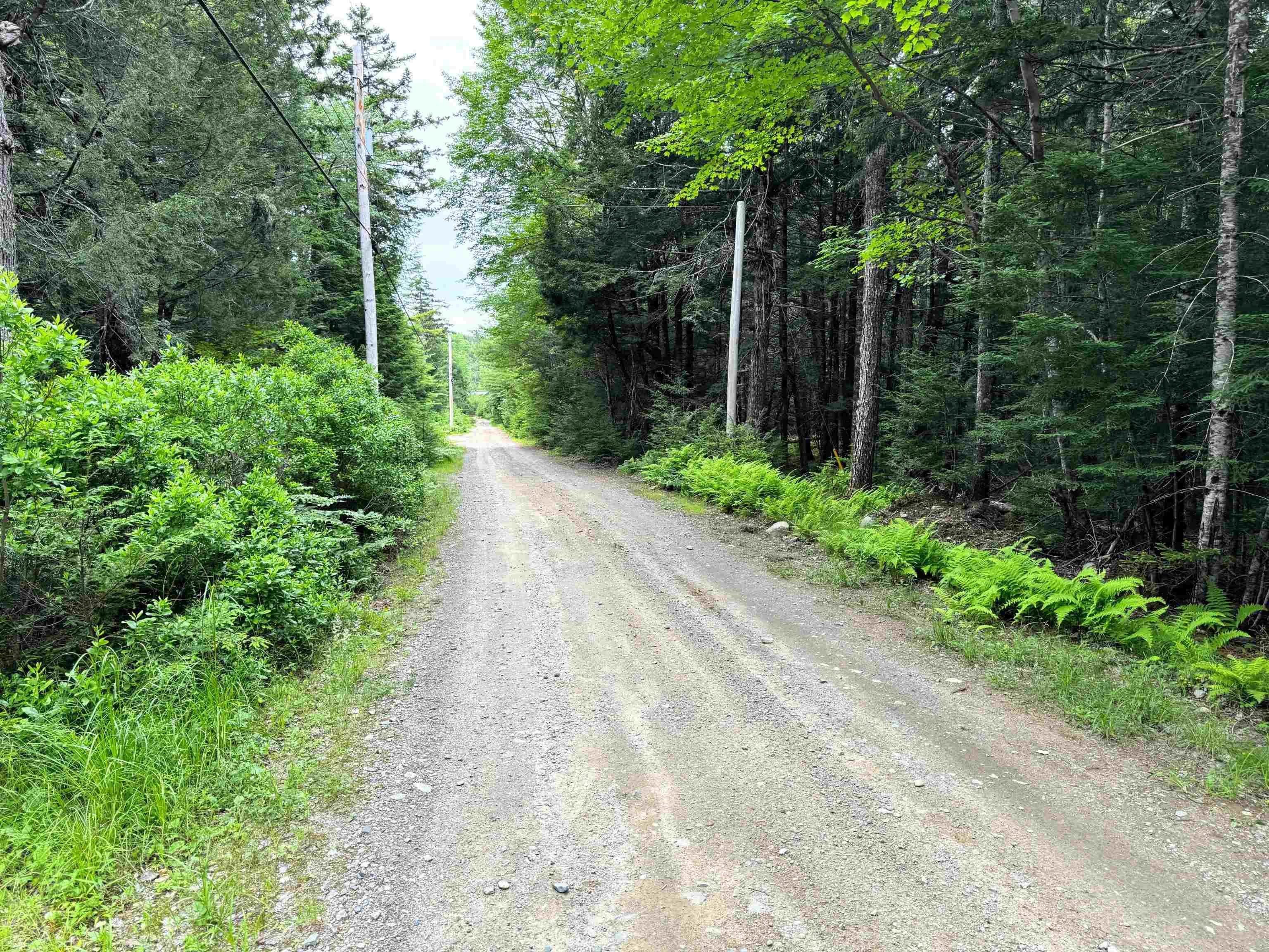 $99,900.00: 7&7A Cottage Lane, Pleasantfield