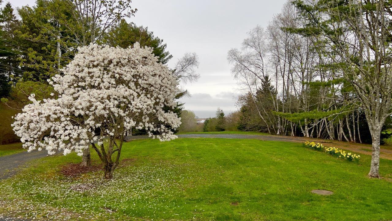 $899,000.00: 36 Whitetail Lane, Maders Cove