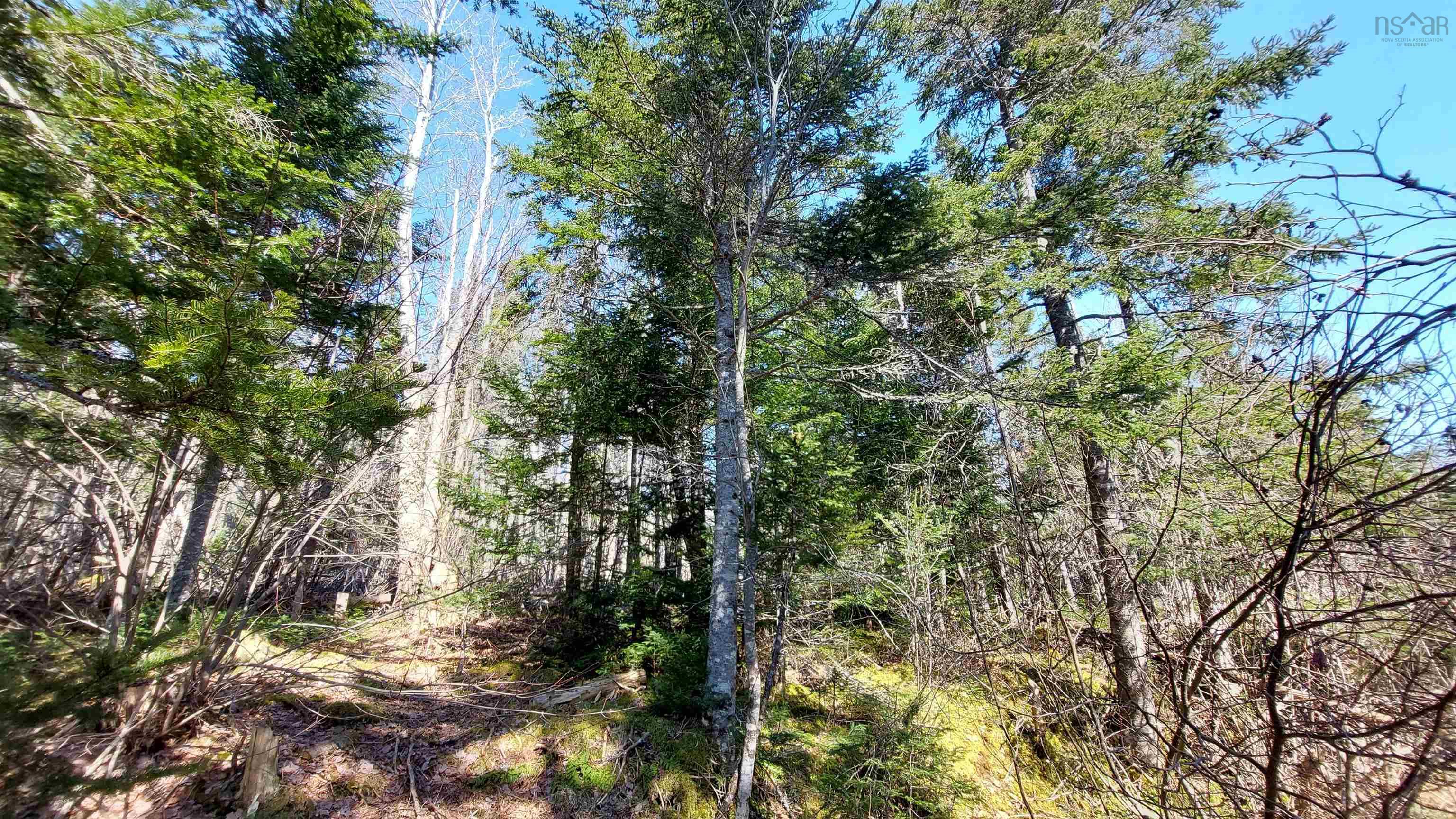 $140,000.00: Lower River Rd, Hureauville