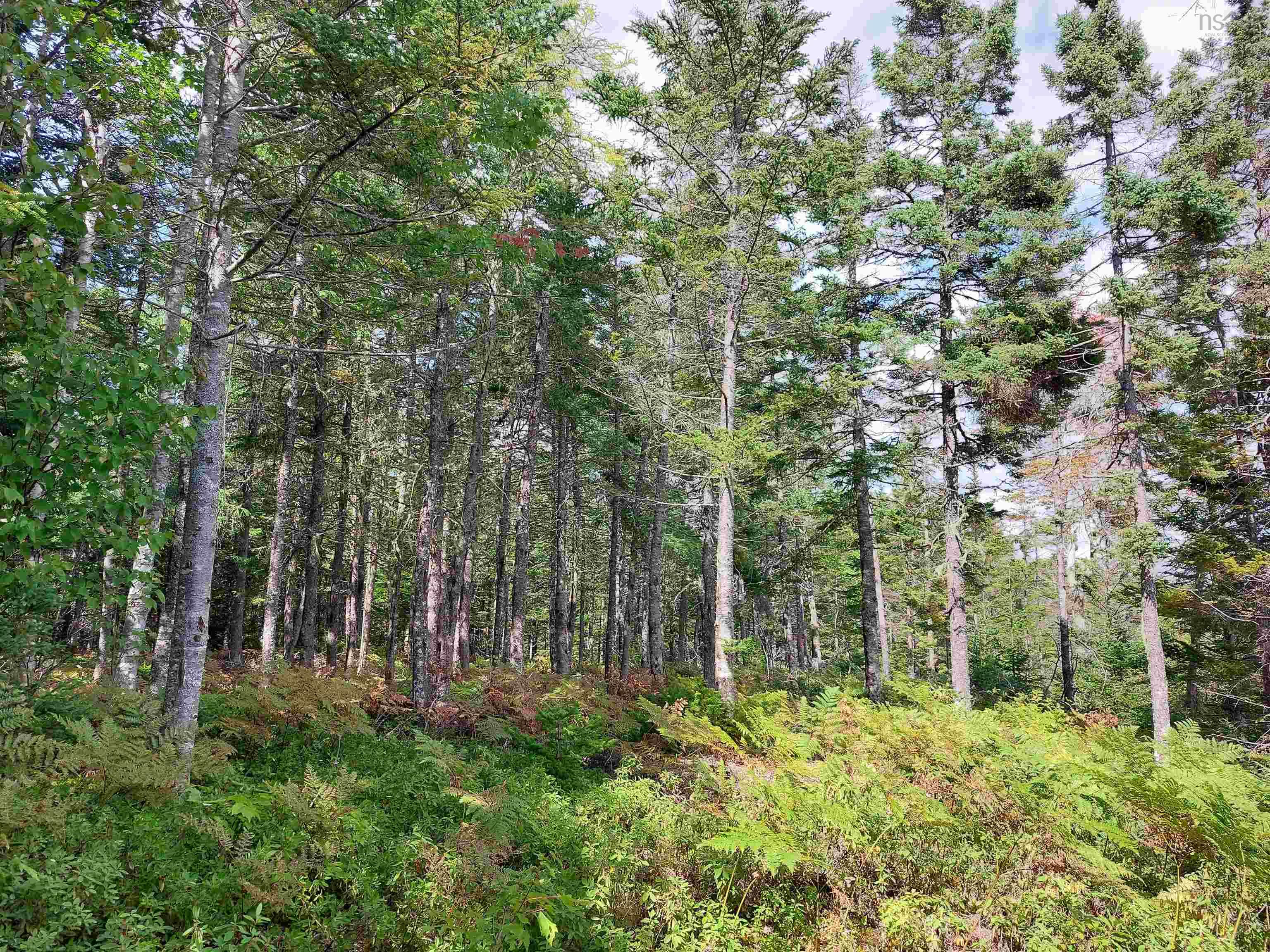 $140,000.00: Lower River Rd, Hureauville