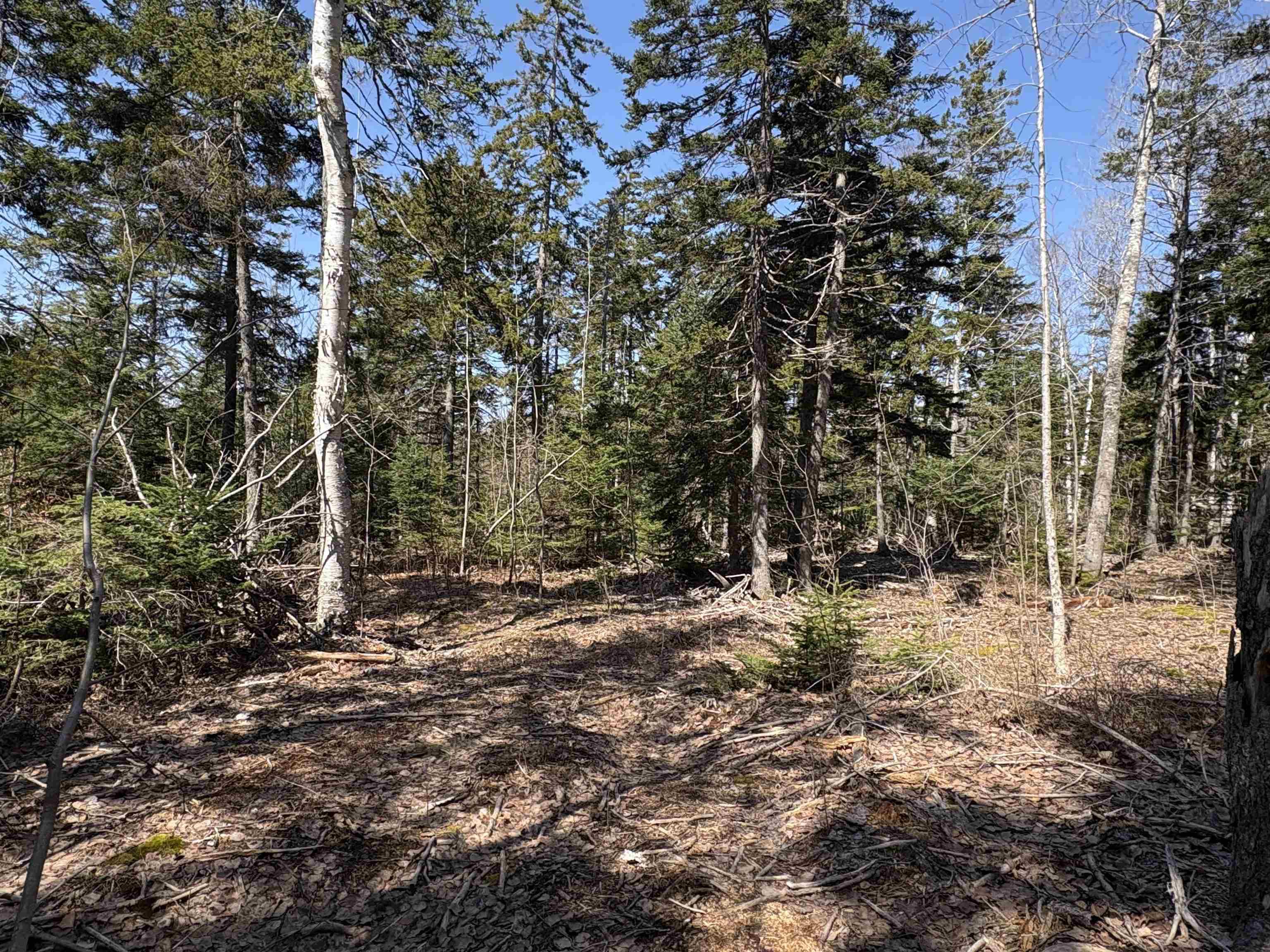 $46,900.00: Lot 6 Highway 360, Garland