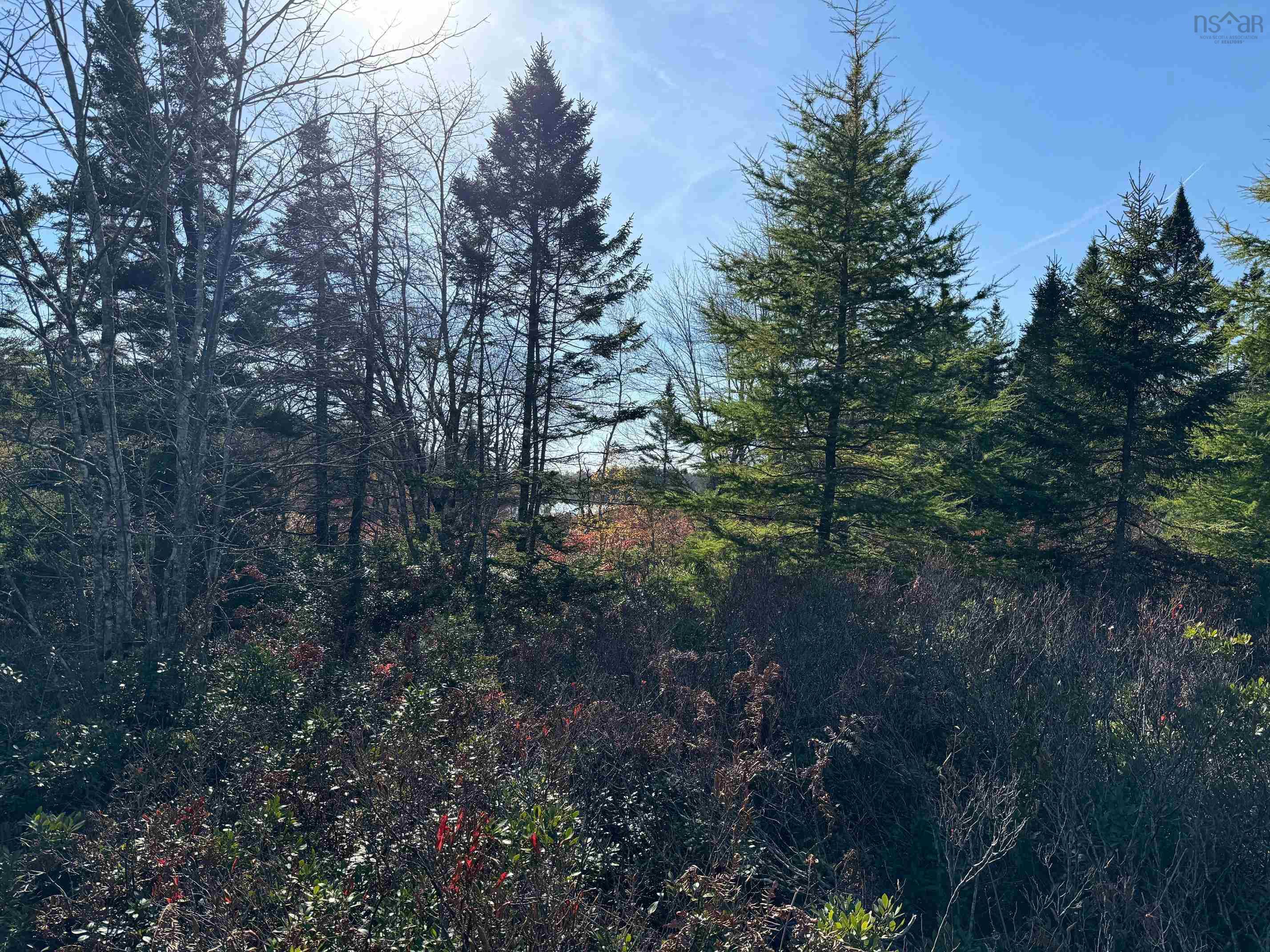 $39,800.00: Grant 5942 Jacksons Mountain, East Quinan
