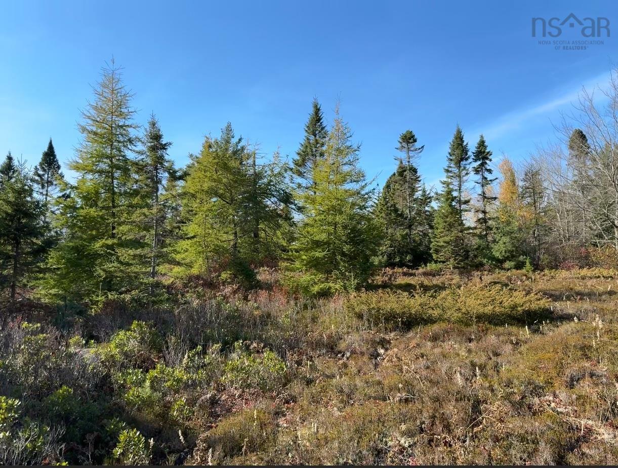 $39,800.00: Grant 5942 Jacksons Mountain, East Quinan
