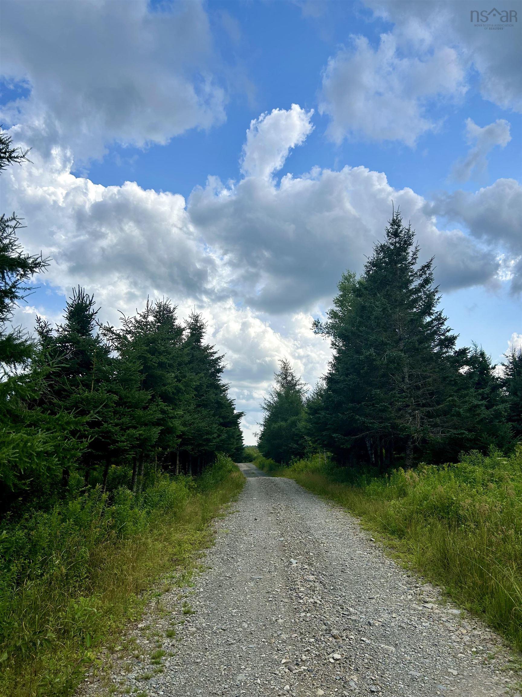 $139,000.00: 152 Acres Upper Glencoe Road, Erinville