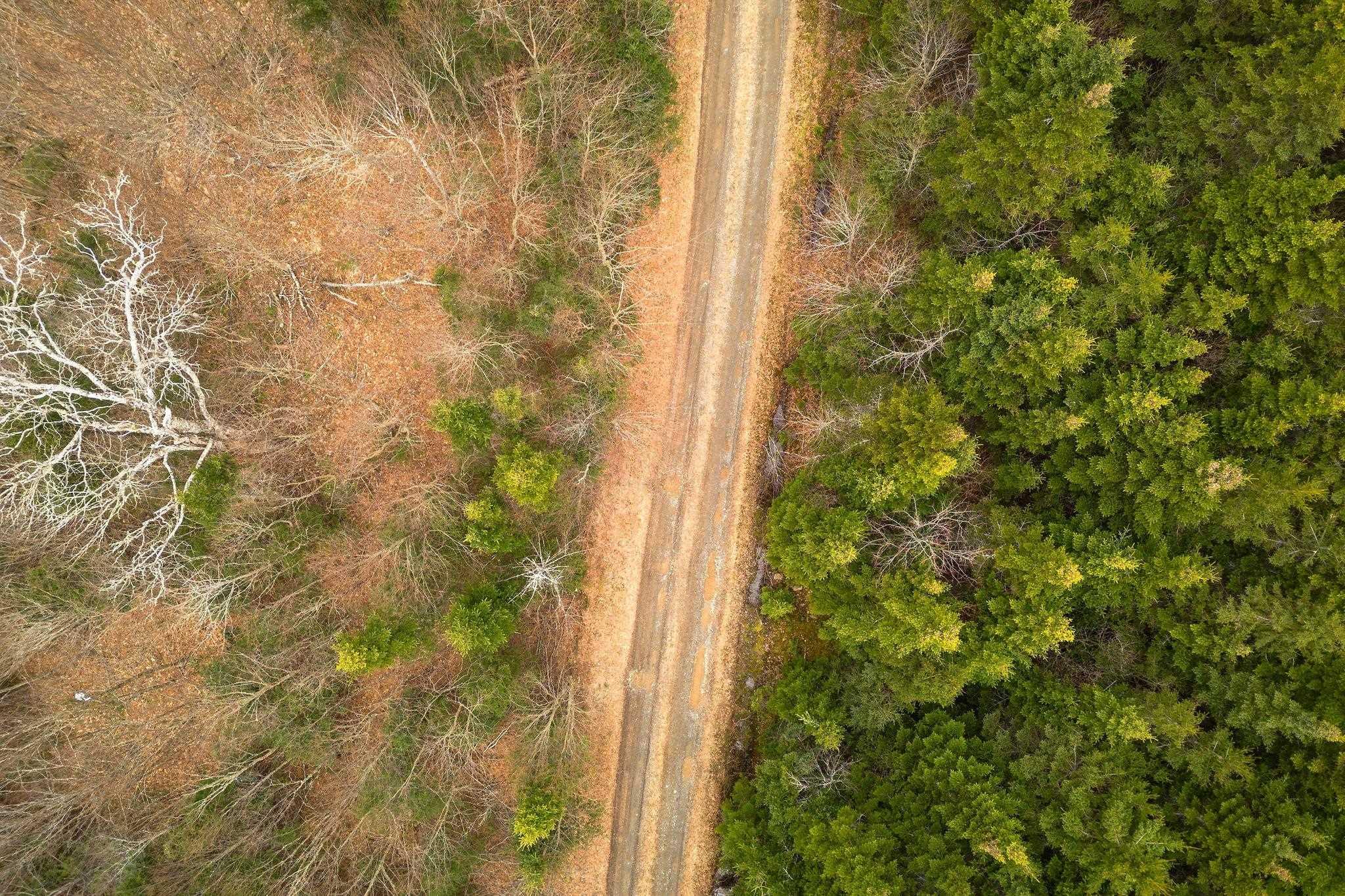 $139,000.00: 152 Acres Upper Glencoe Road, Erinville