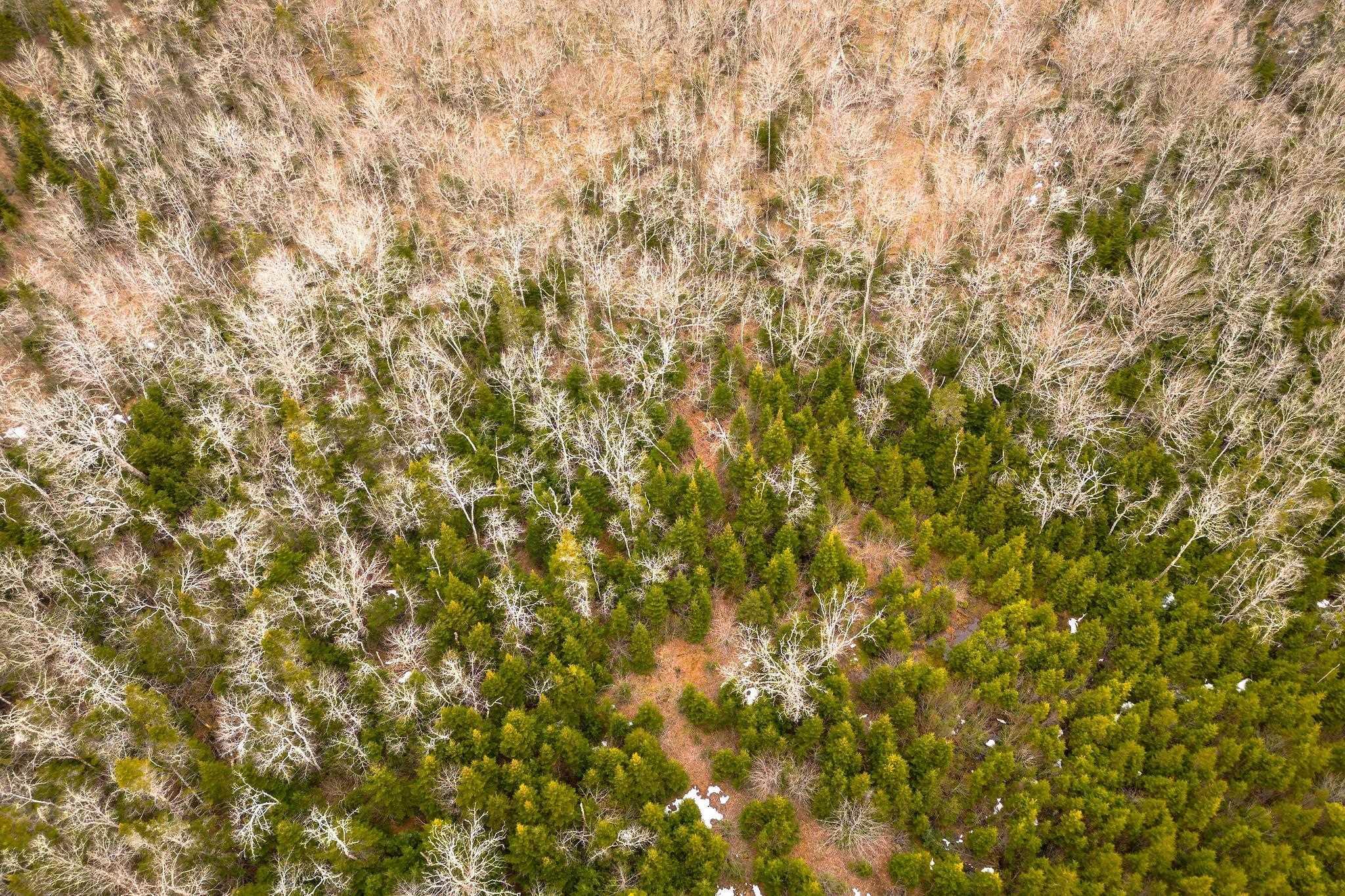 $139,000.00: 152 Acres Upper Glencoe Road, Erinville