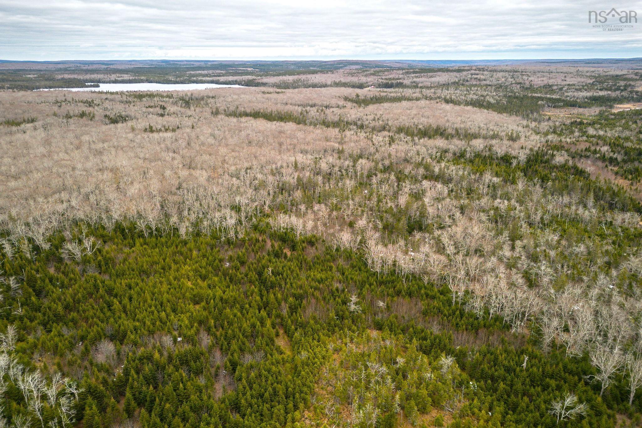 $139,000.00: 152 Acres Upper Glencoe Road, Erinville