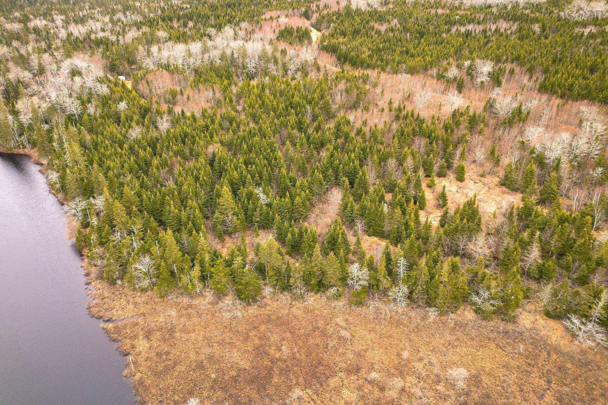 $139,000.00: 152 Acres Upper Glencoe Road, Erinville