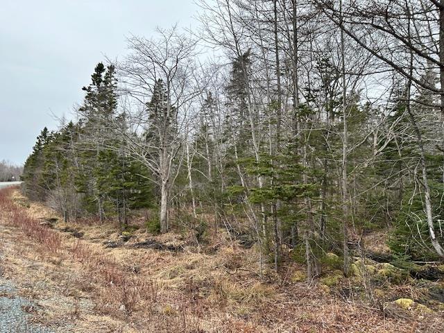 $149,900.00: Lots Highway 3, White Point