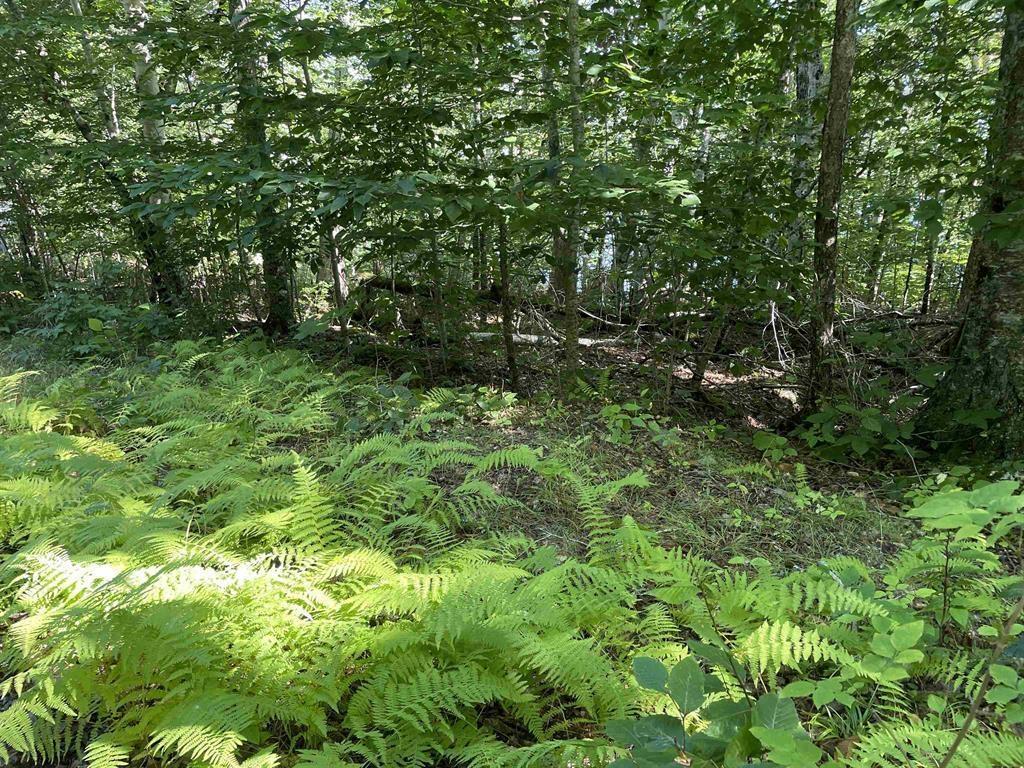 $149,900.00: Lot 13A Natural Retreats Street, Henleys Point