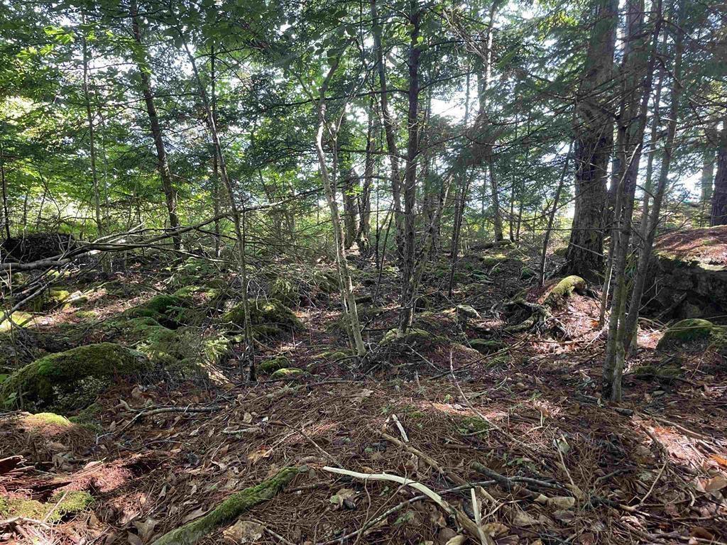 $149,900.00: Lot 13A Natural Retreats Street, Henleys Point