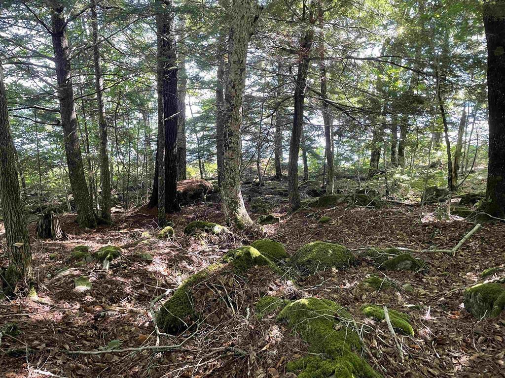 $149,900.00: Lot 13A Natural Retreats Street, Henleys Point