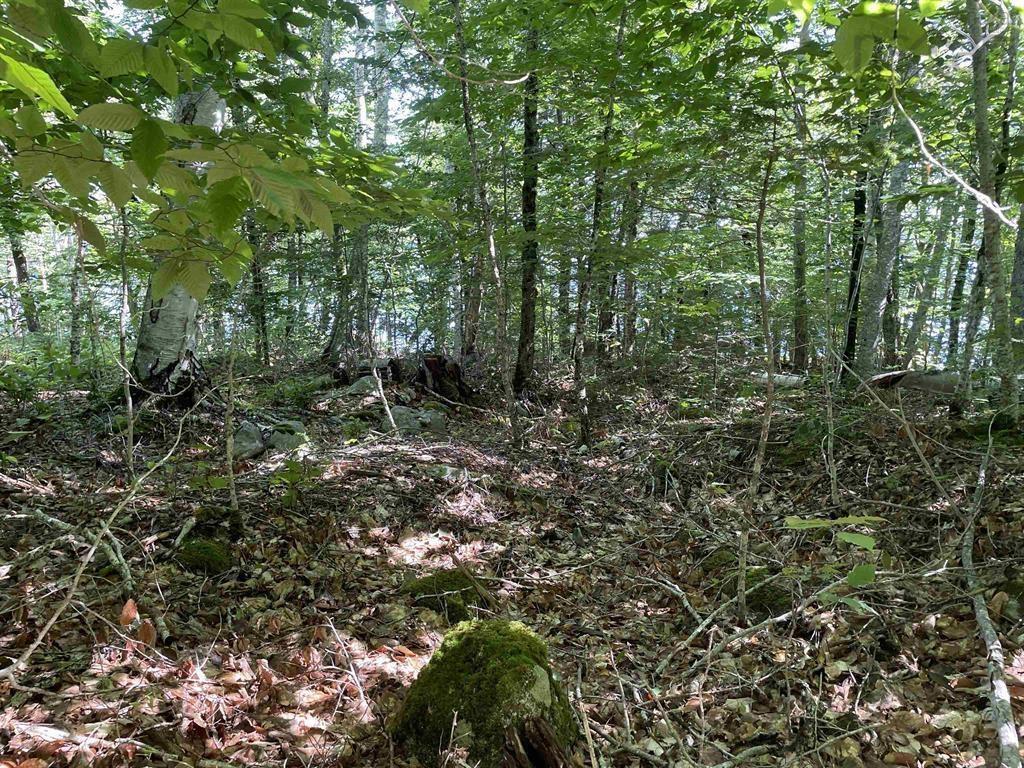 $149,900.00: Lot 13A Natural Retreats Street, Henleys Point
