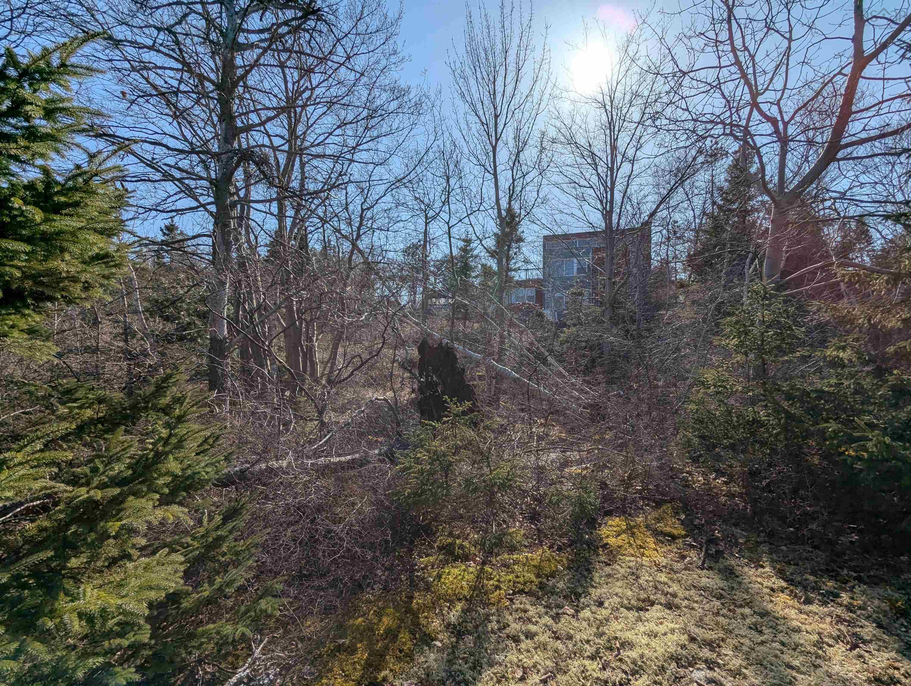 $229,900.00: Lot 17 16 Oceanview Drive, Halifax