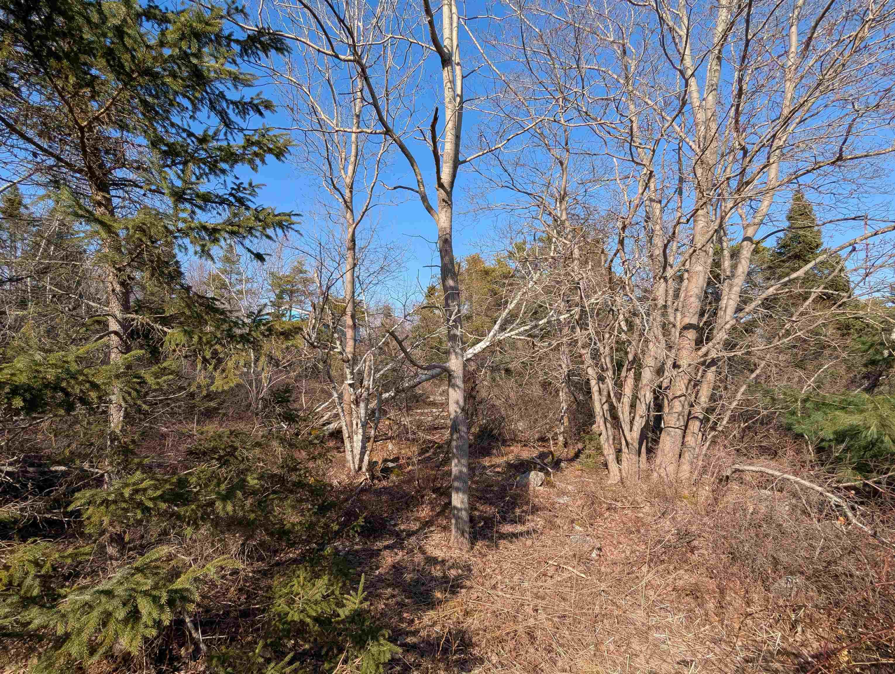 $229,900.00: Lot 17 16 Oceanview Drive, Halifax