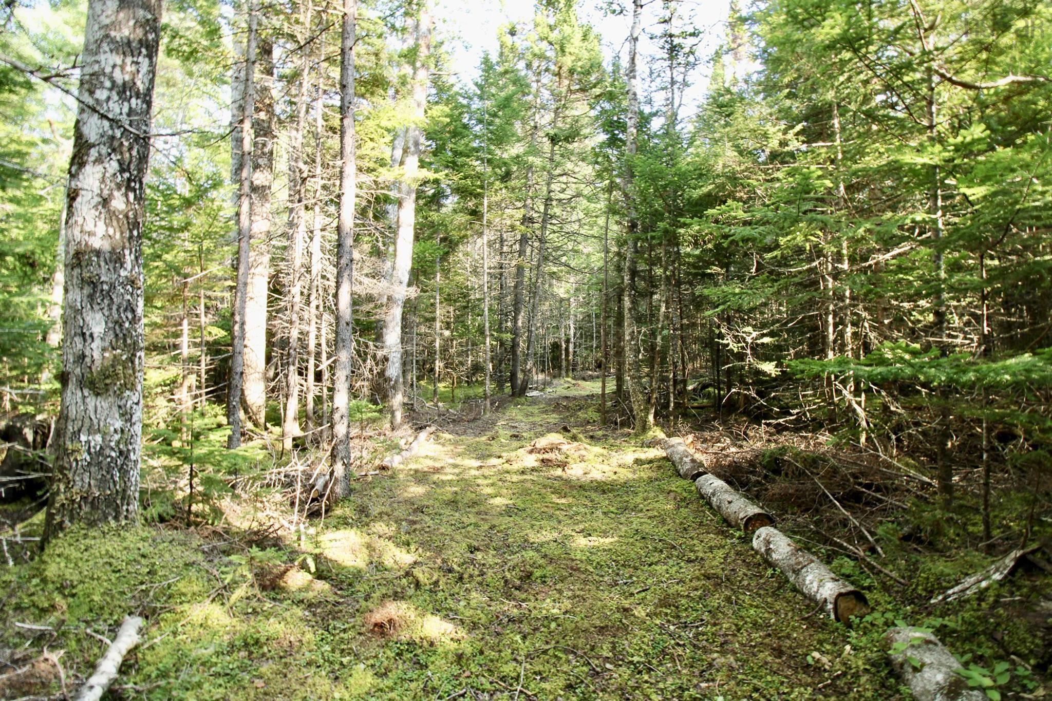 $465,000.00: 1185 Beaton Road, Port Hood