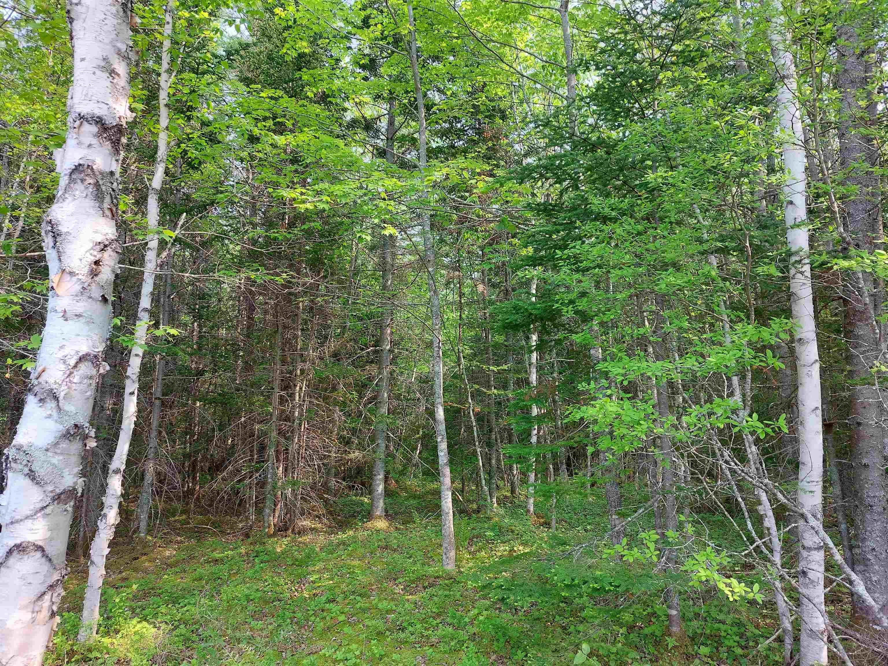 $39,500.00: Lot 8 Beaver Lane, Grantville