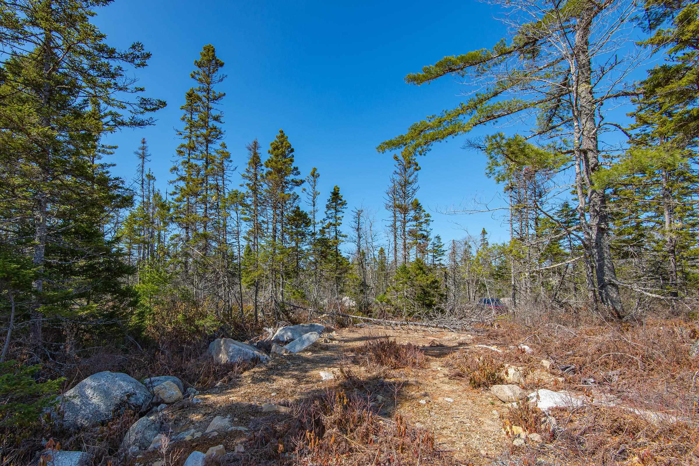 $109,000.00: Lot 12 Virginia Road, Springhill