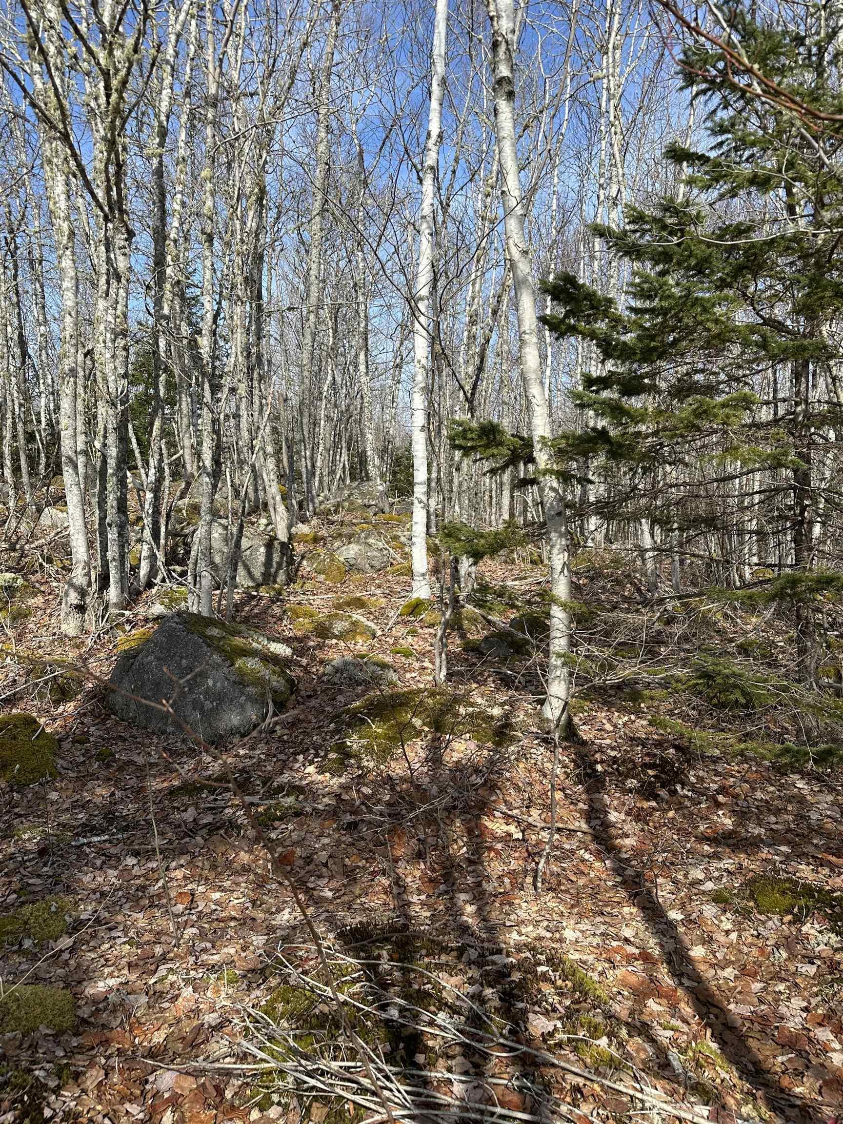 $250,000.00: Lot 7 North River Road, Aylesford Lake