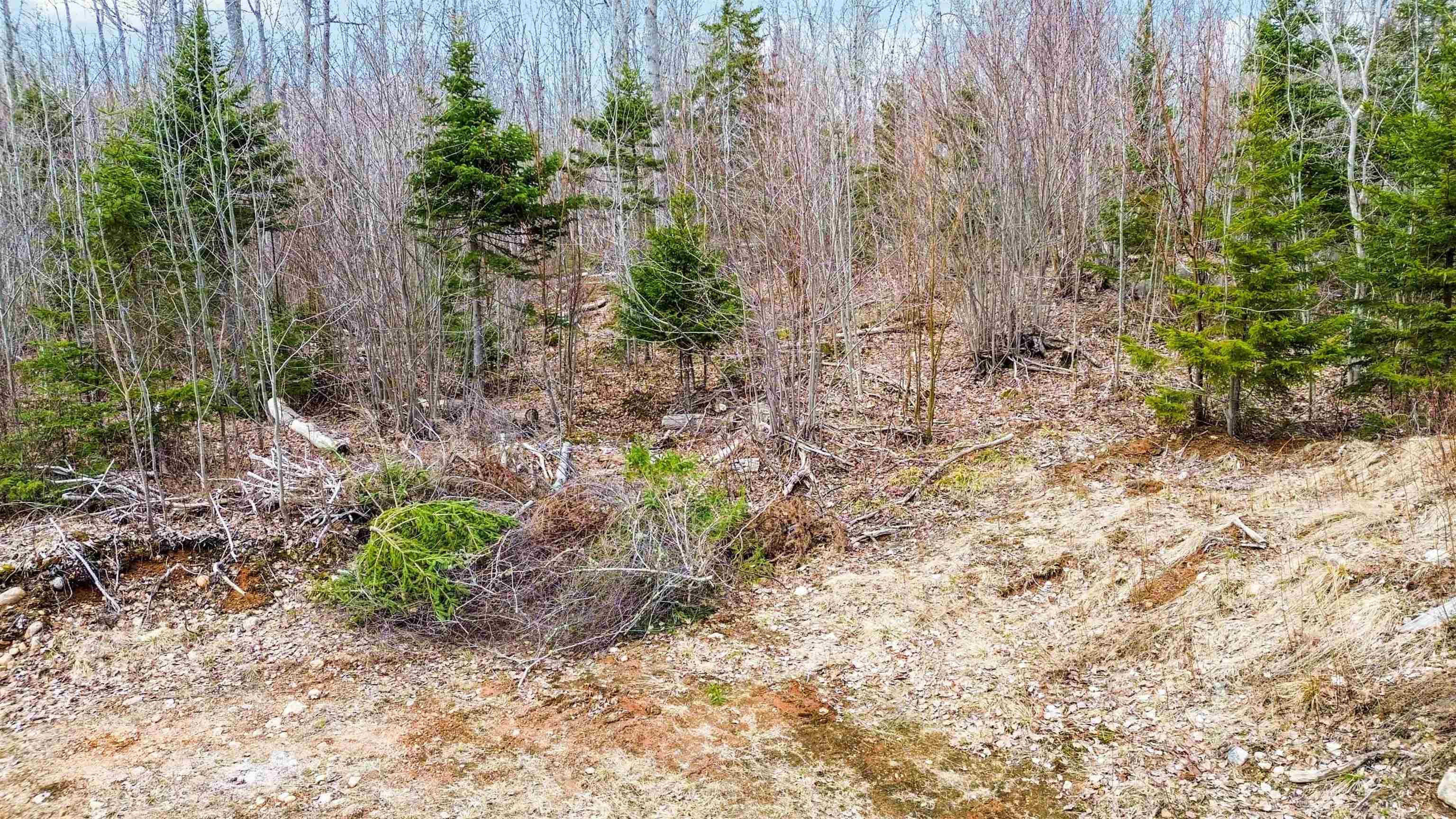 $250,000.00: Lot 7 North River Road, Aylesford Lake