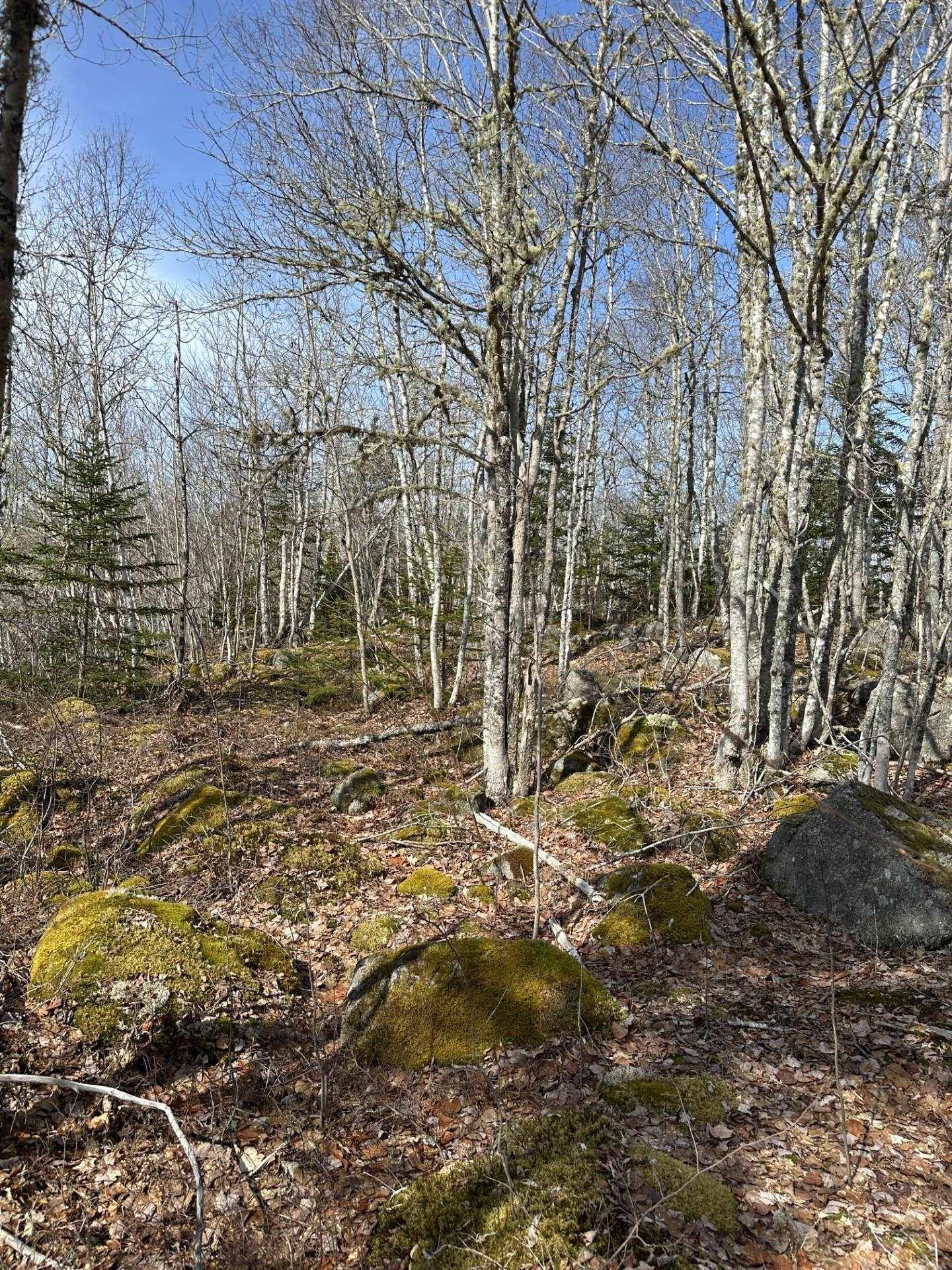 $250,000.00: Lot 7 North River Road, Aylesford Lake