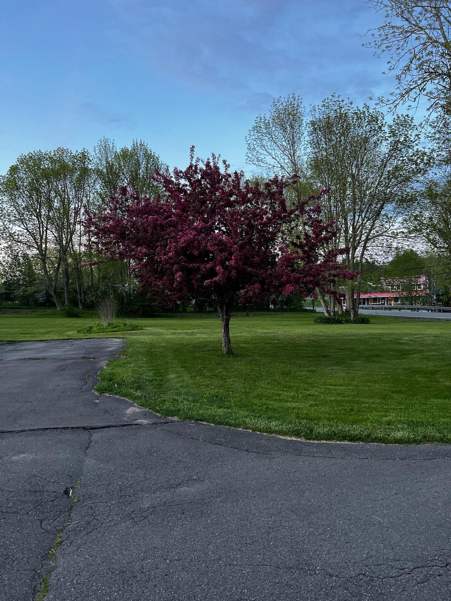 $639,000.00: 11659 Highway 316, Boylston
