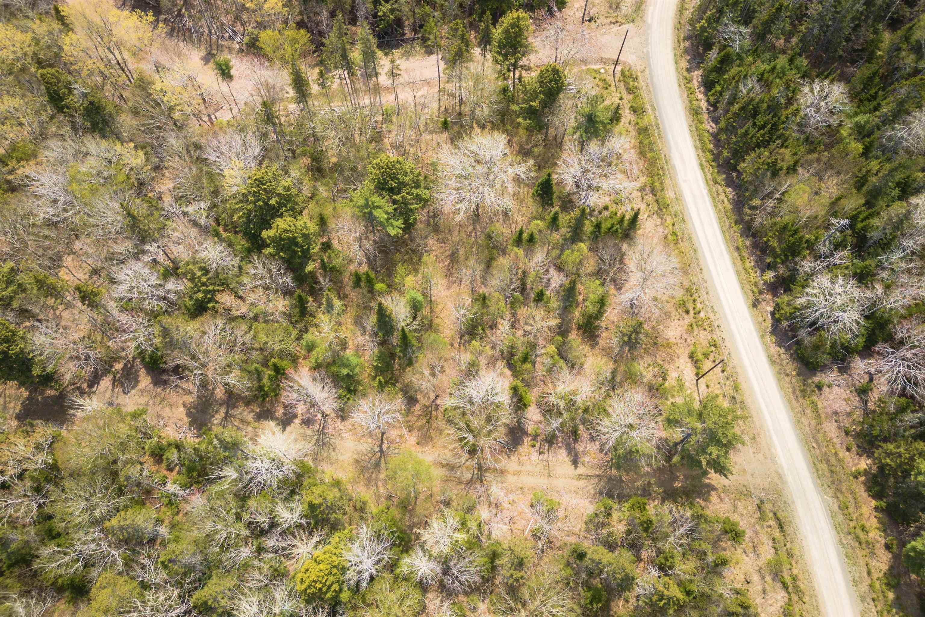 $137,500.00: Lot 50 Redbird Dr., Militia Point