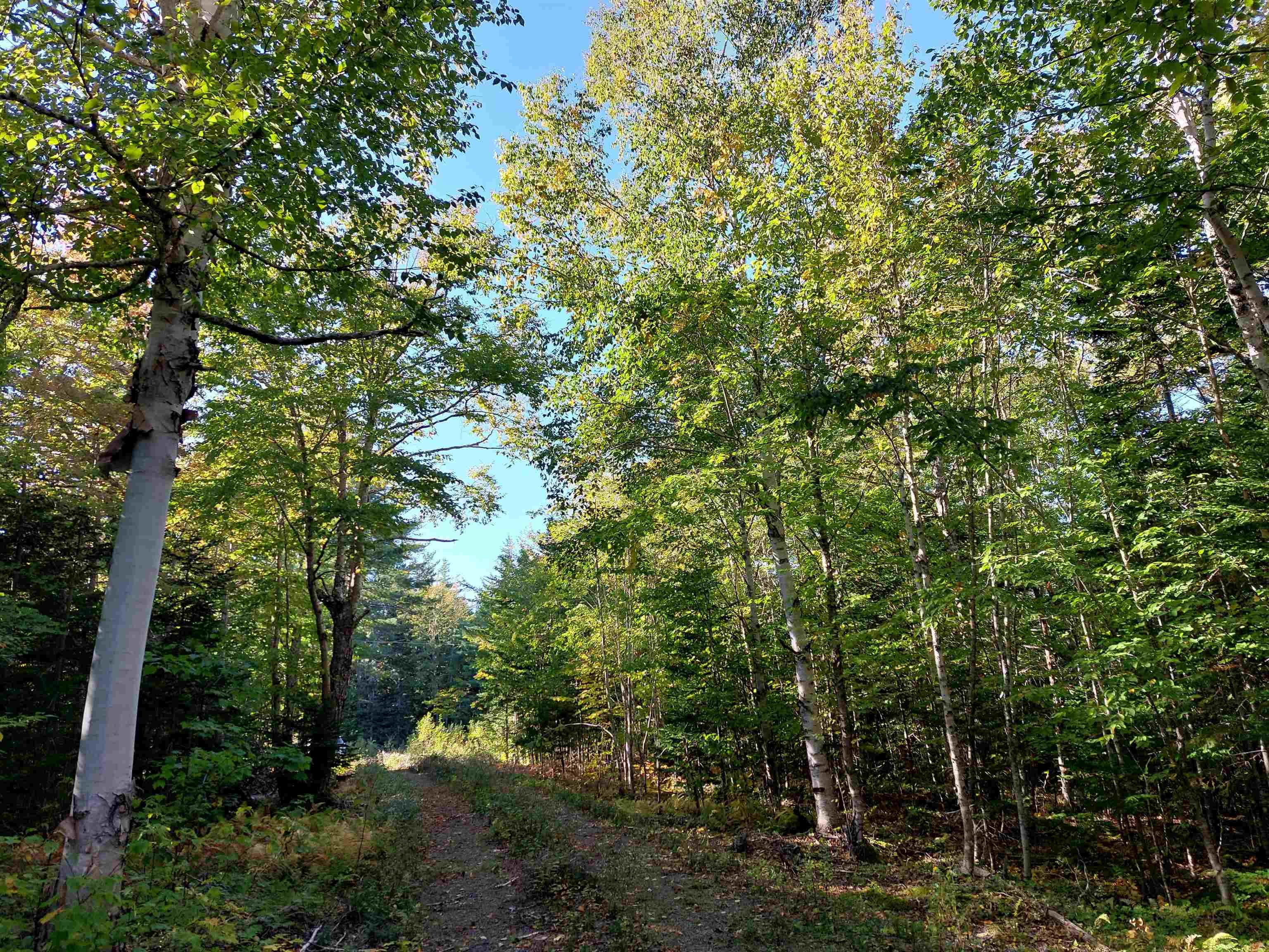 $137,500.00: Lot 50 Redbird Dr., Militia Point