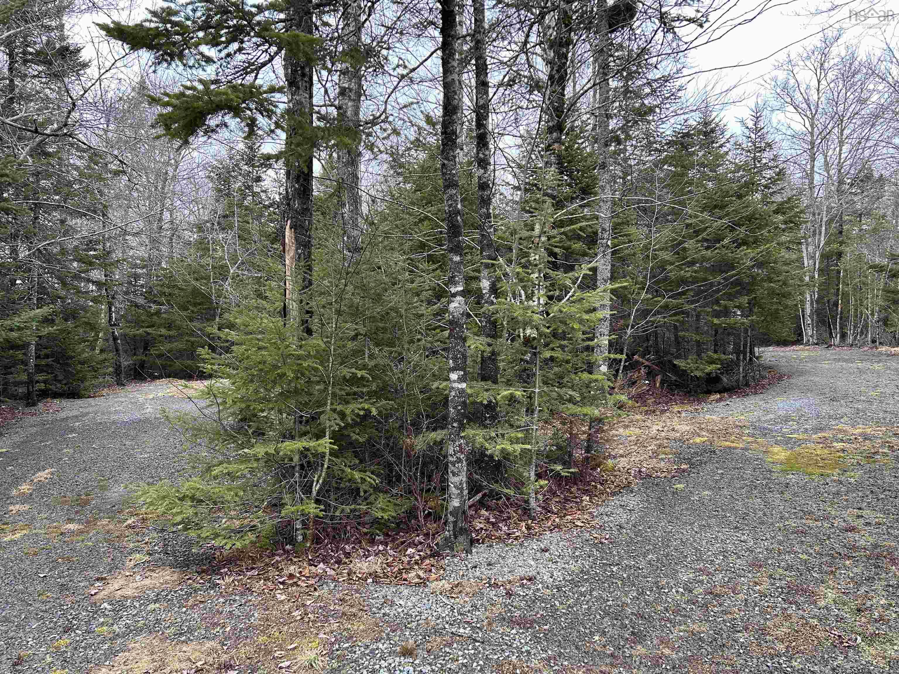 3410 Old Guysborough Road, Devon, NS (MLS® 202506990)
