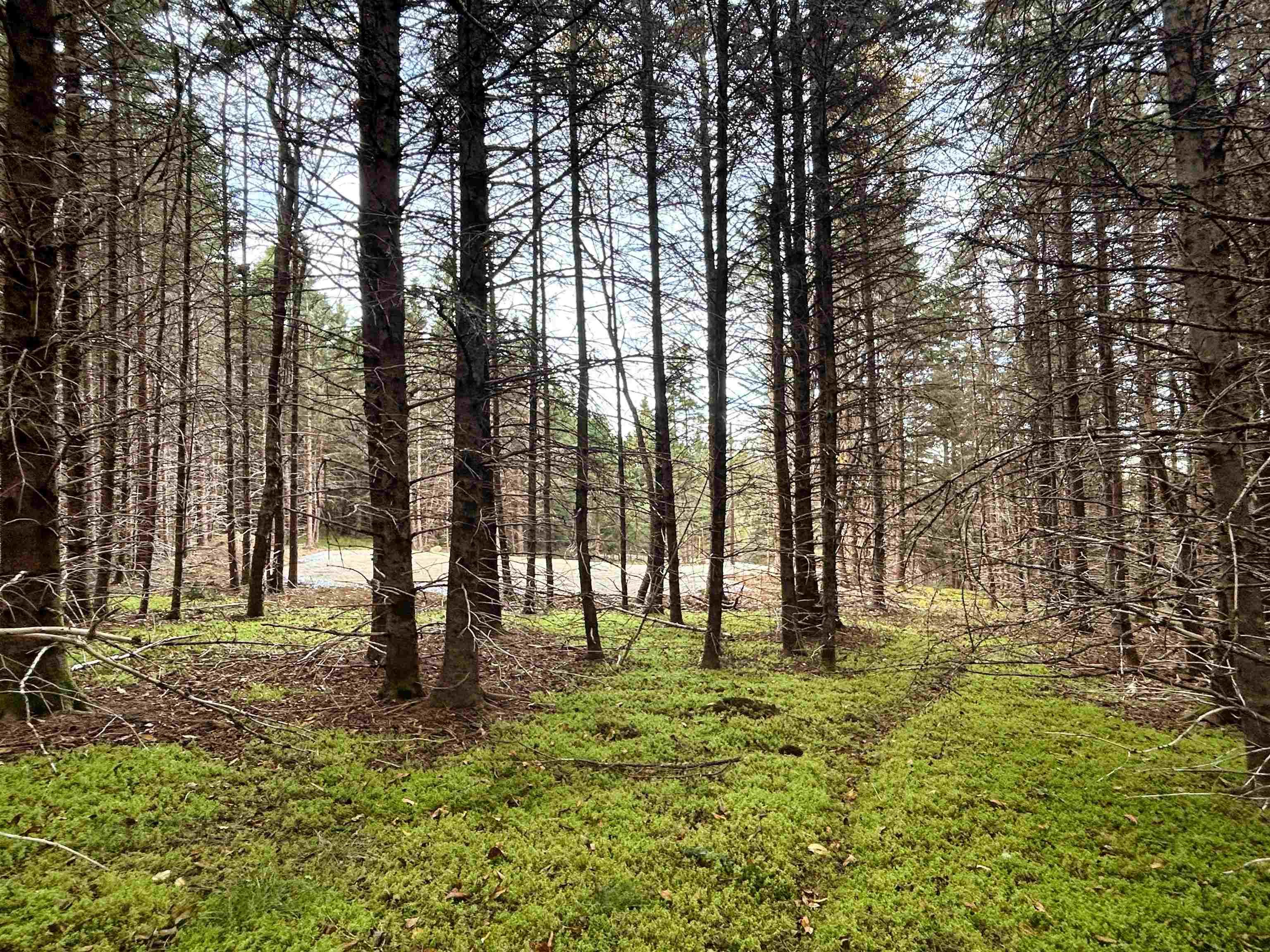 $56,900.00: Lot 4 Shepherds Hill Road, Riverport