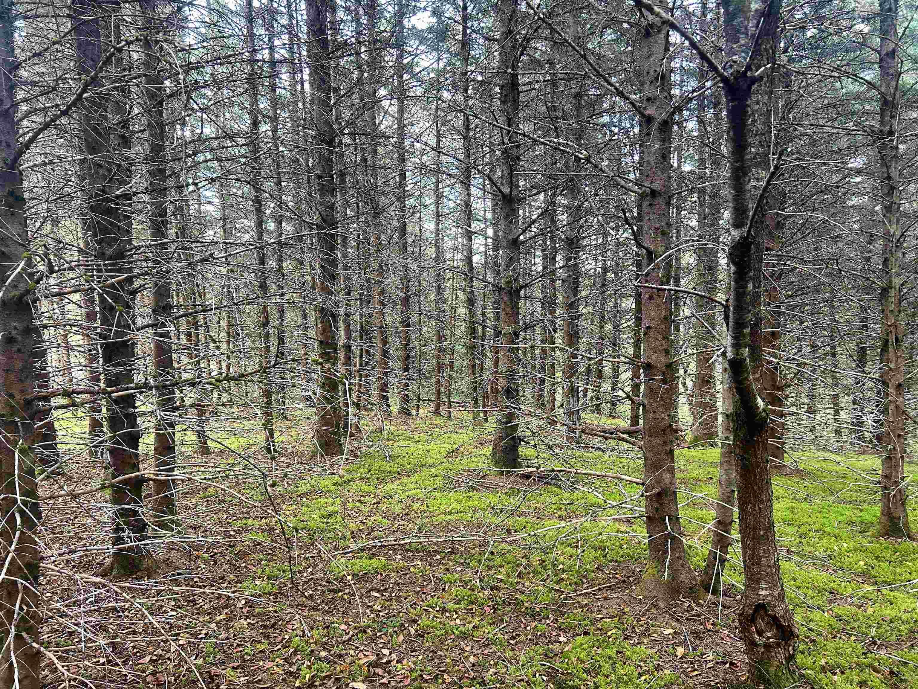 $56,900.00: Lot 4 Shepherds Hill Road, Riverport
