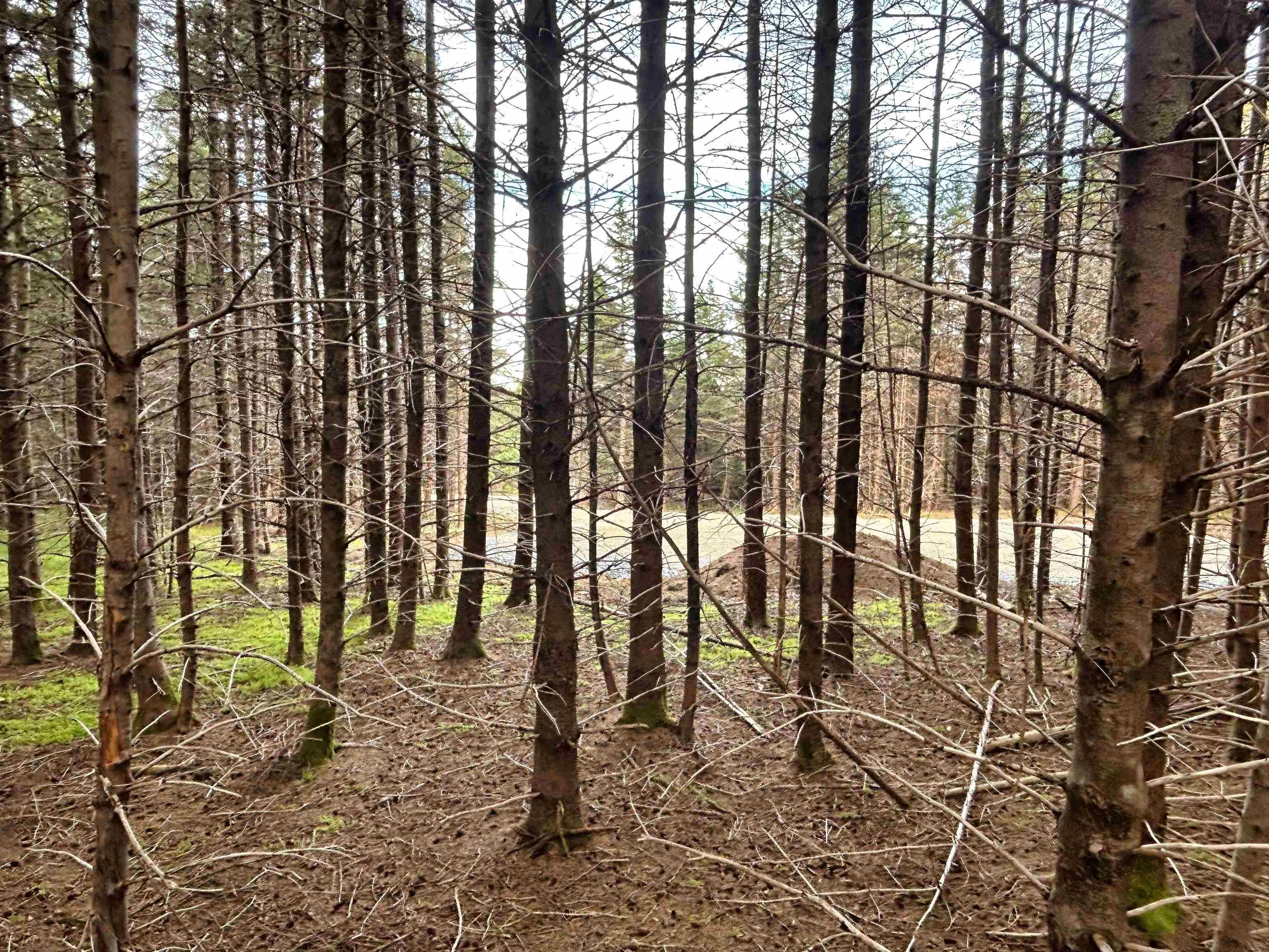 $56,900.00: Lot 4 Shepherds Hill Road, Riverport