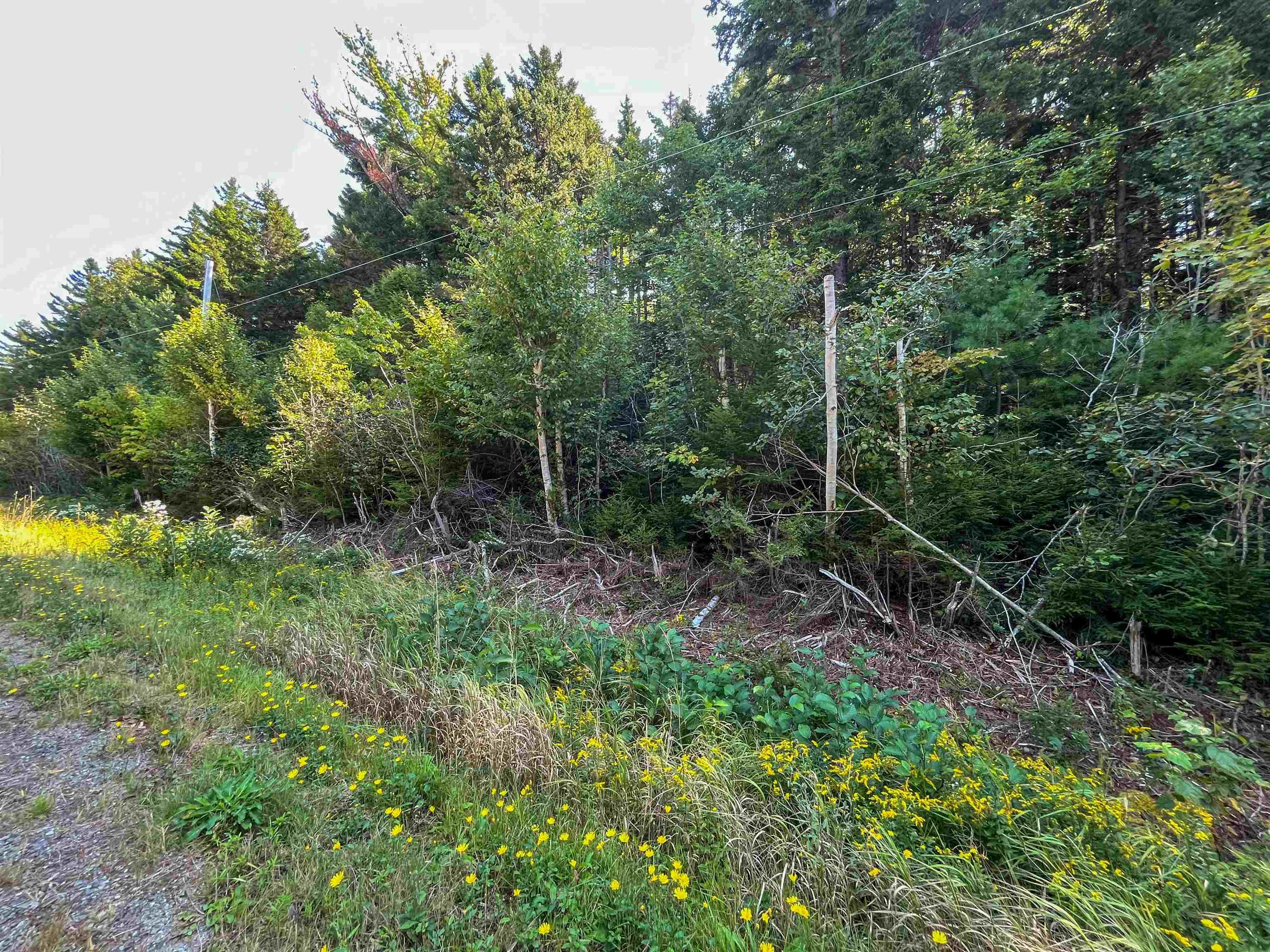 $69,900.00: Lots Thibault Road, St. Joseph