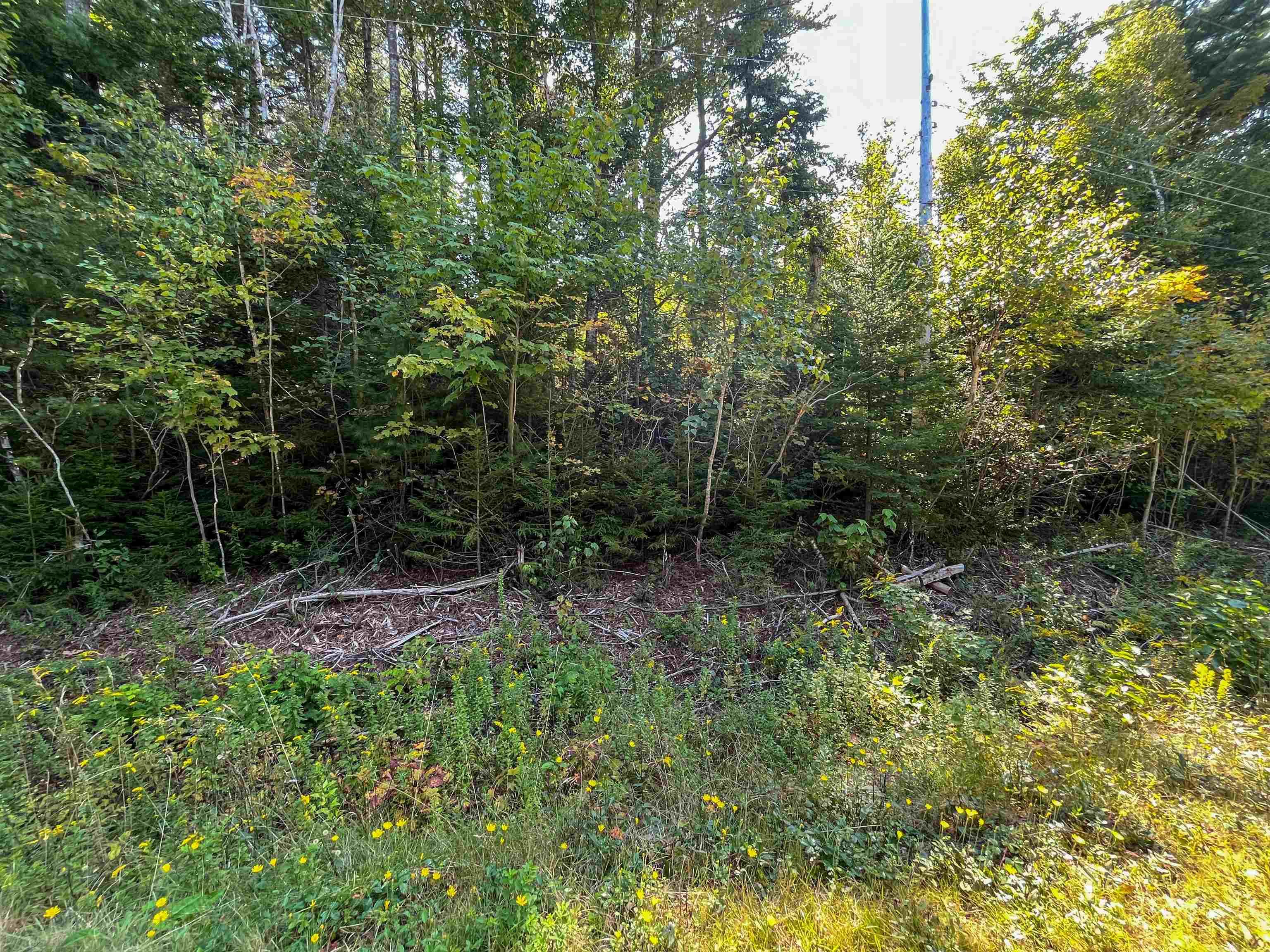 $69,900.00: Lots Thibault Road, St. Joseph