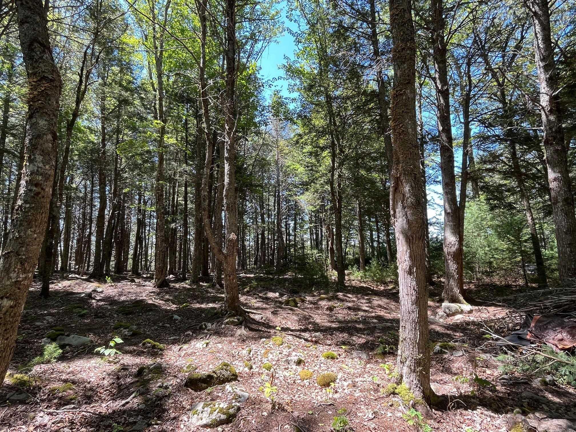 $79,900.00: Lot 18 Thumb Cap Point, Labelle