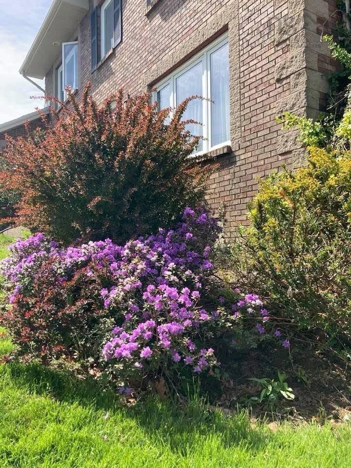 $1,125,000.00: 11 Stockleigh Place, Halifax