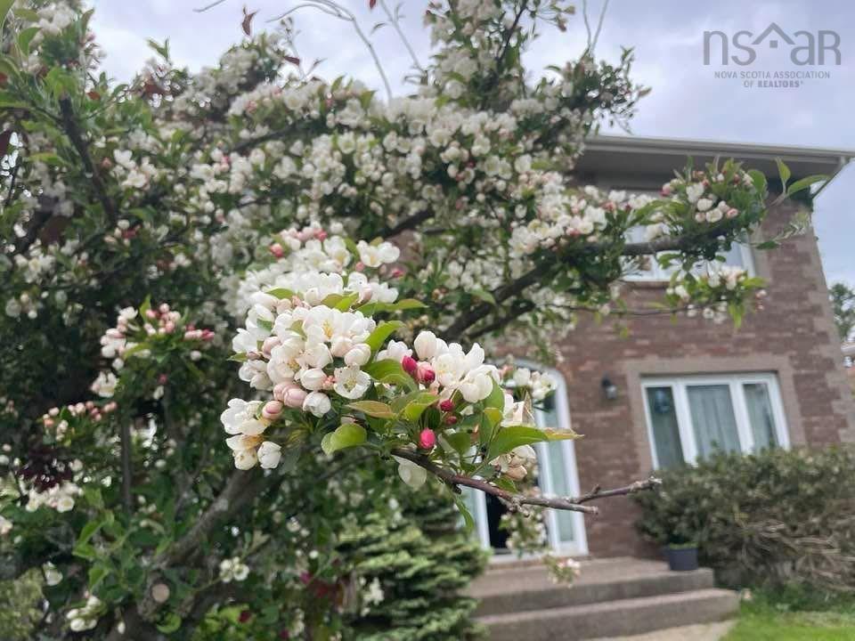 $1,125,000.00: 11 Stockleigh Place, Halifax