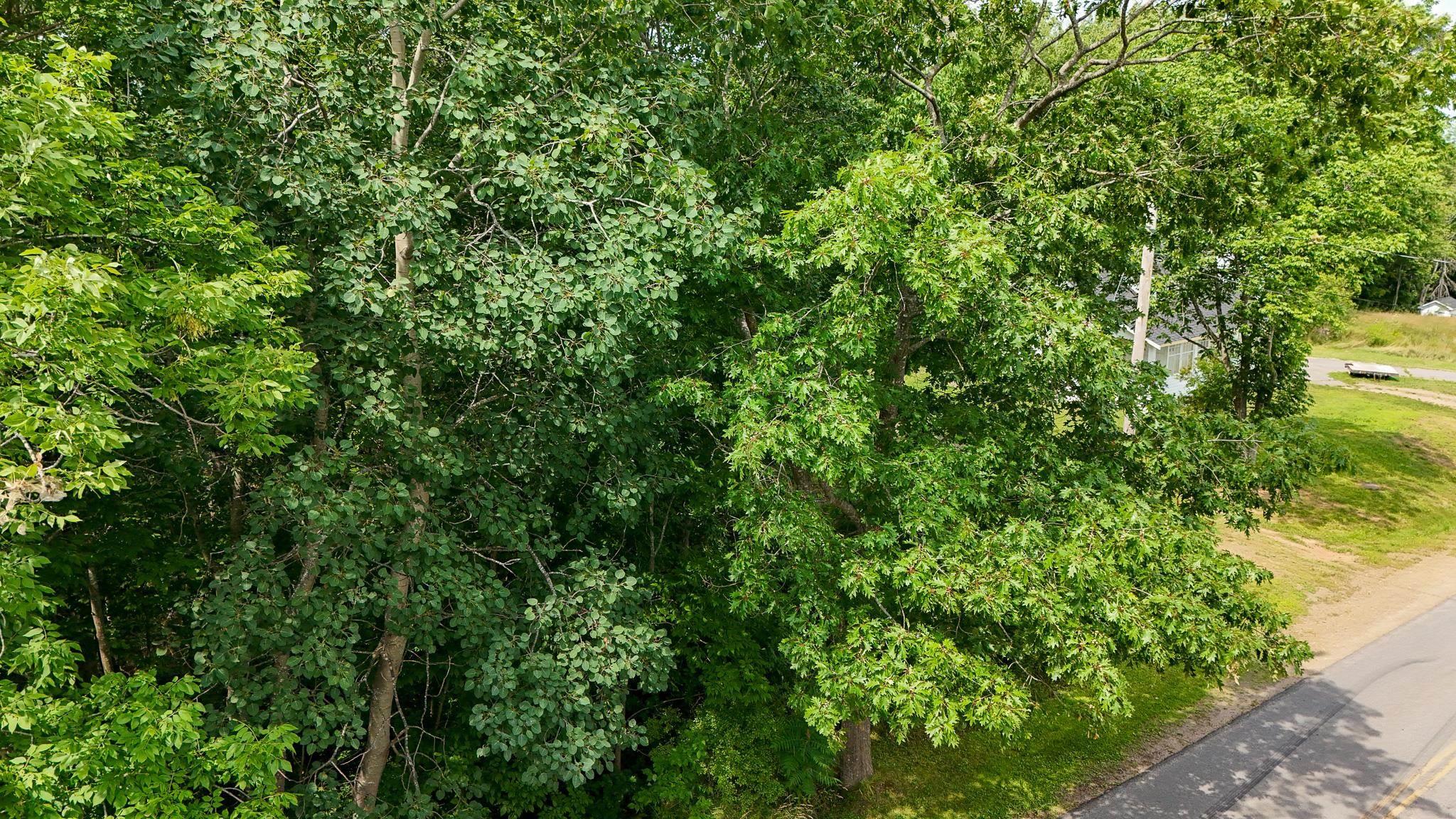 $145,000.00: Lot 2 Maple Avenue, Wolfville