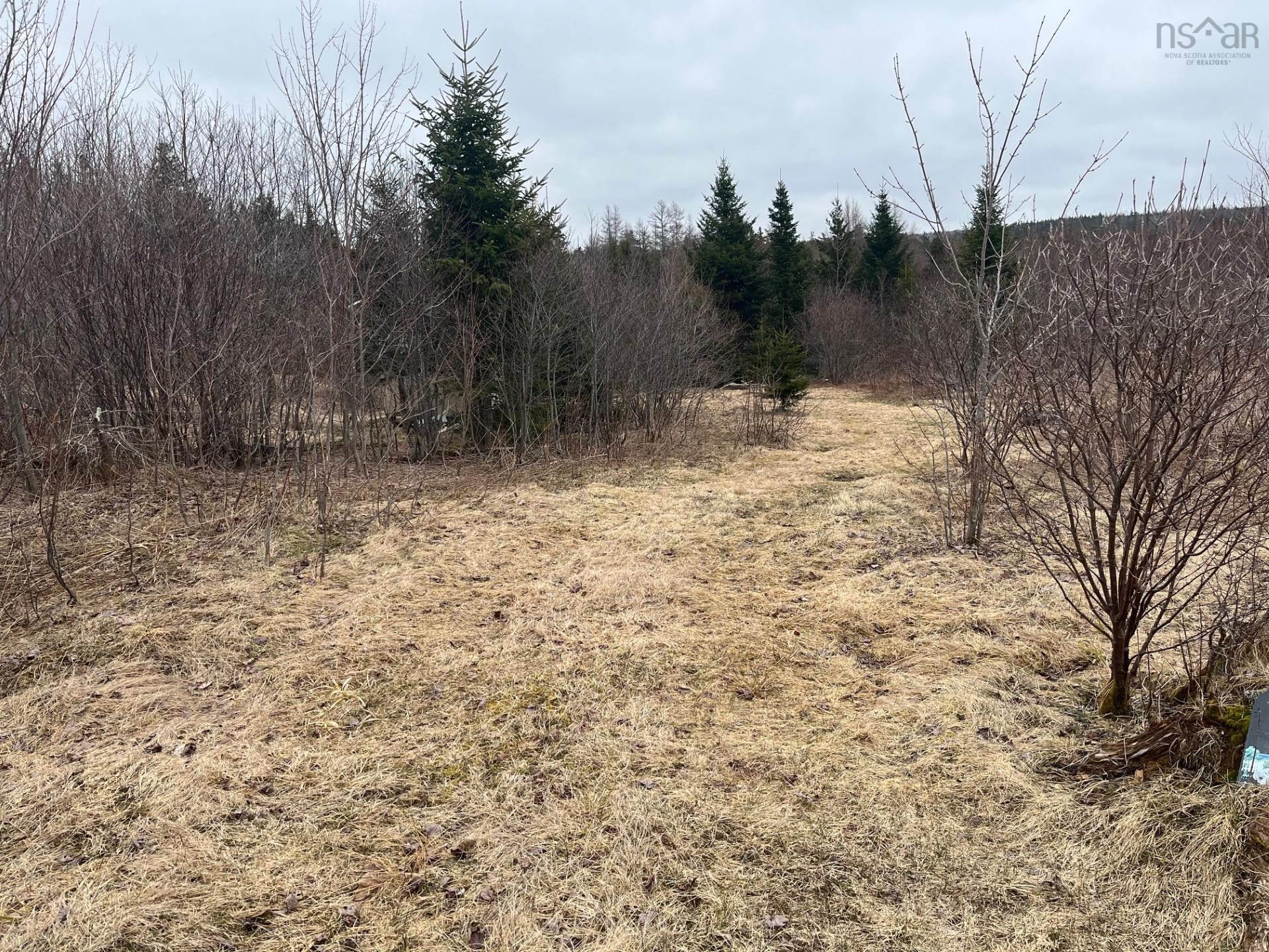 $29,000.00: Cameron Road, Iron Mines