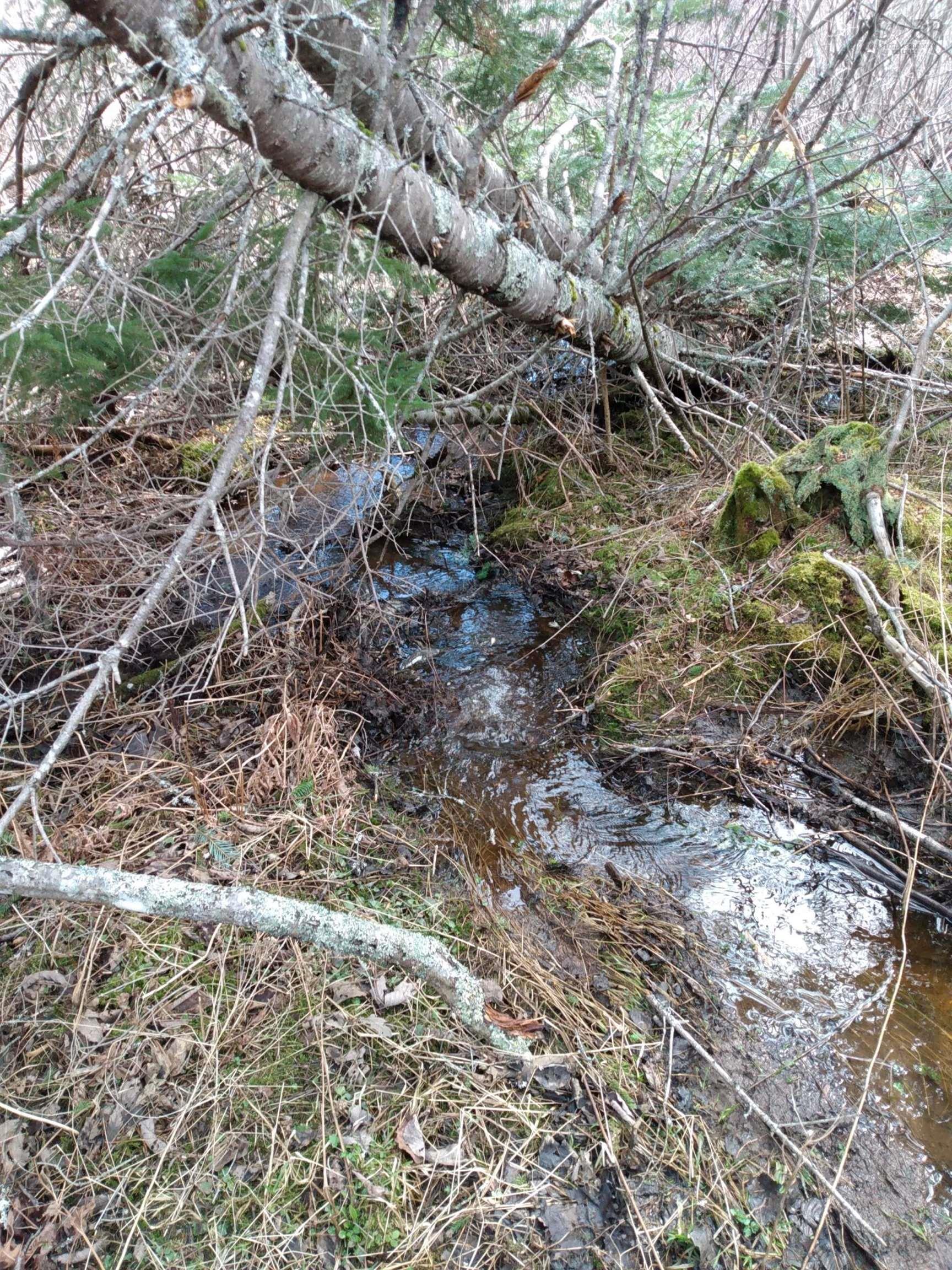 $29,000.00: Cameron Road, Iron Mines