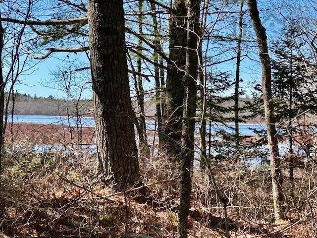 $249,900.00: Lot Bridge Road, New Elm