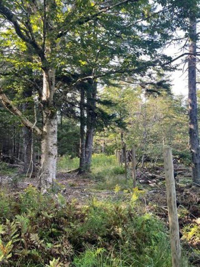 $35,000.00: Lot A Arlington Road, Arlington West