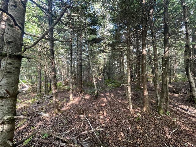$35,000.00: Lot A Arlington Road, Arlington West