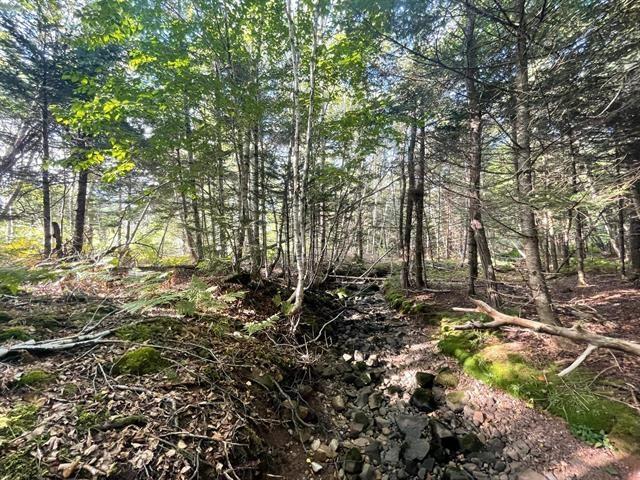 $35,000.00: Lot A Arlington Road, Arlington West