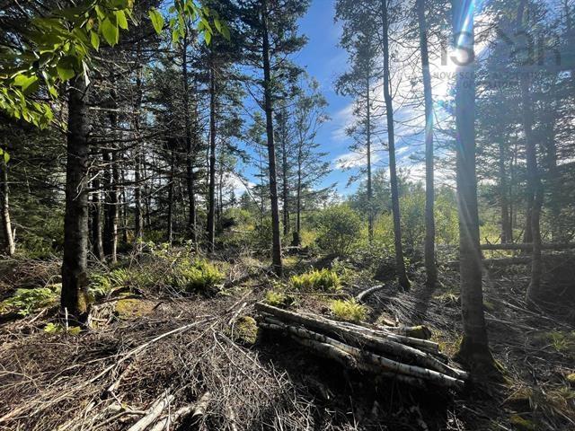 $35,000.00: Lot A Arlington Road, Arlington West