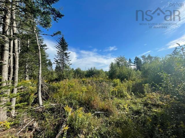 $35,000.00: Lot A Arlington Road, Arlington West