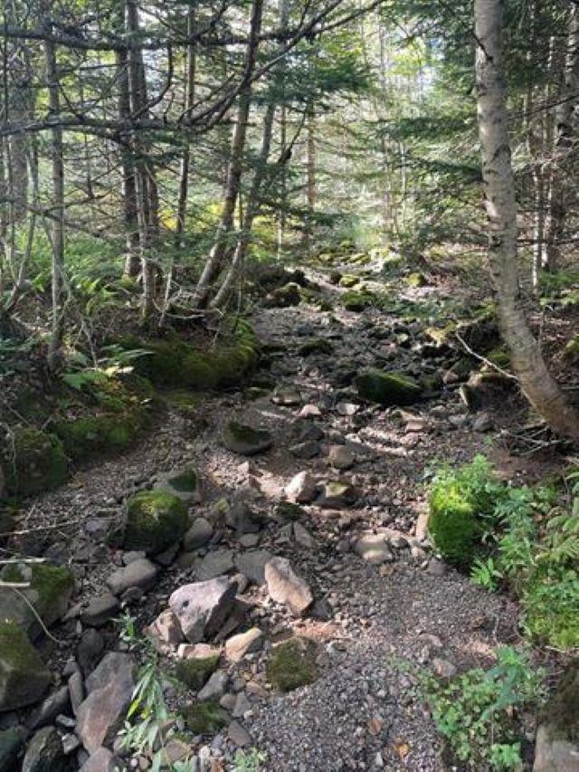 $35,000.00: Lot A Arlington Road, Arlington West