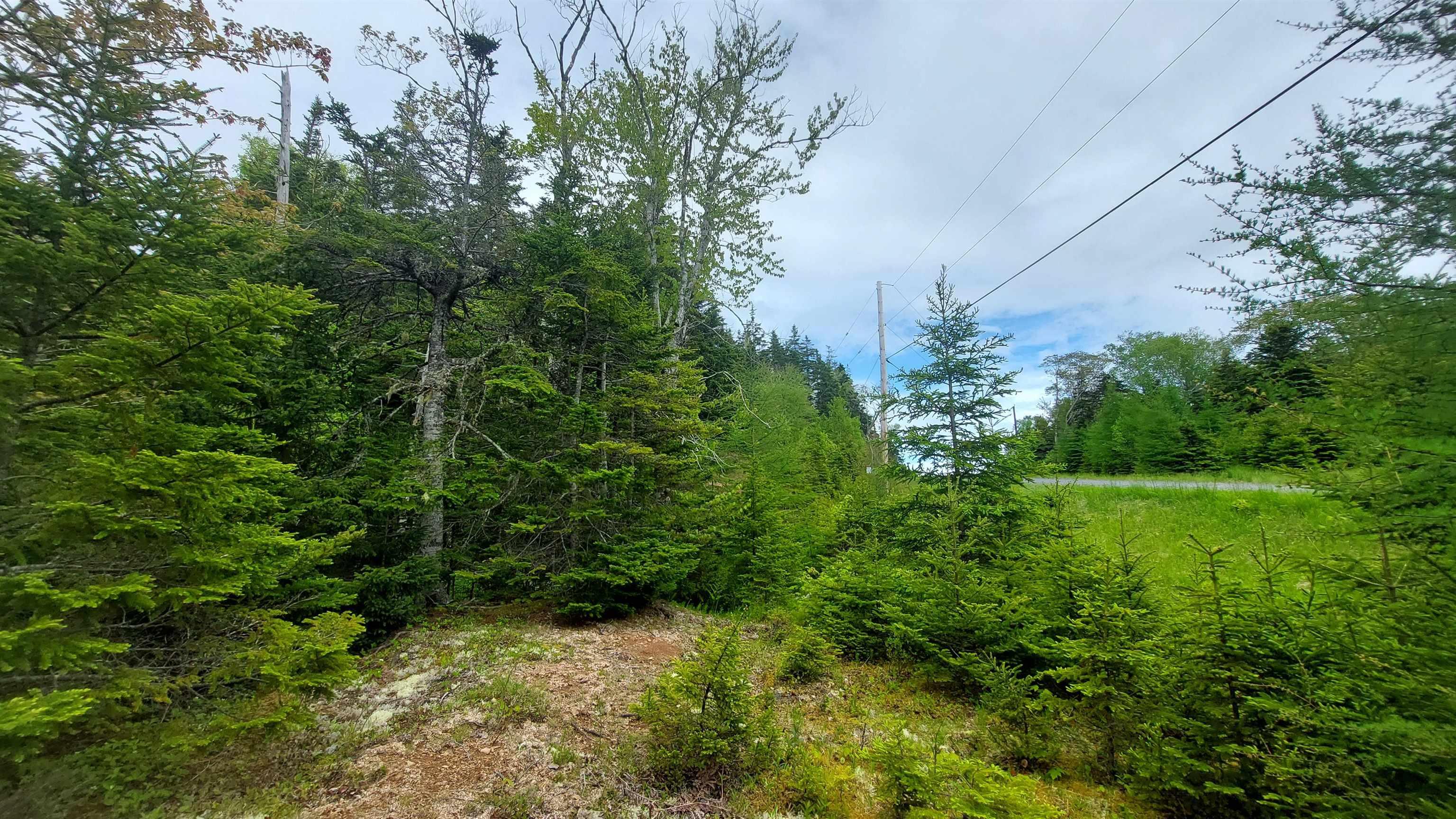 $30,000.00: Lot 1A-79 Maple Dr, Cape George Estates