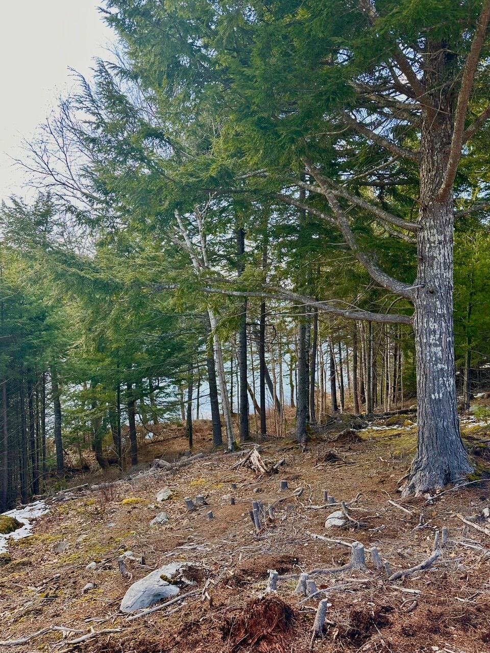 $159,000.00: Lot 2-2 Raspberry Court, Italy Cross