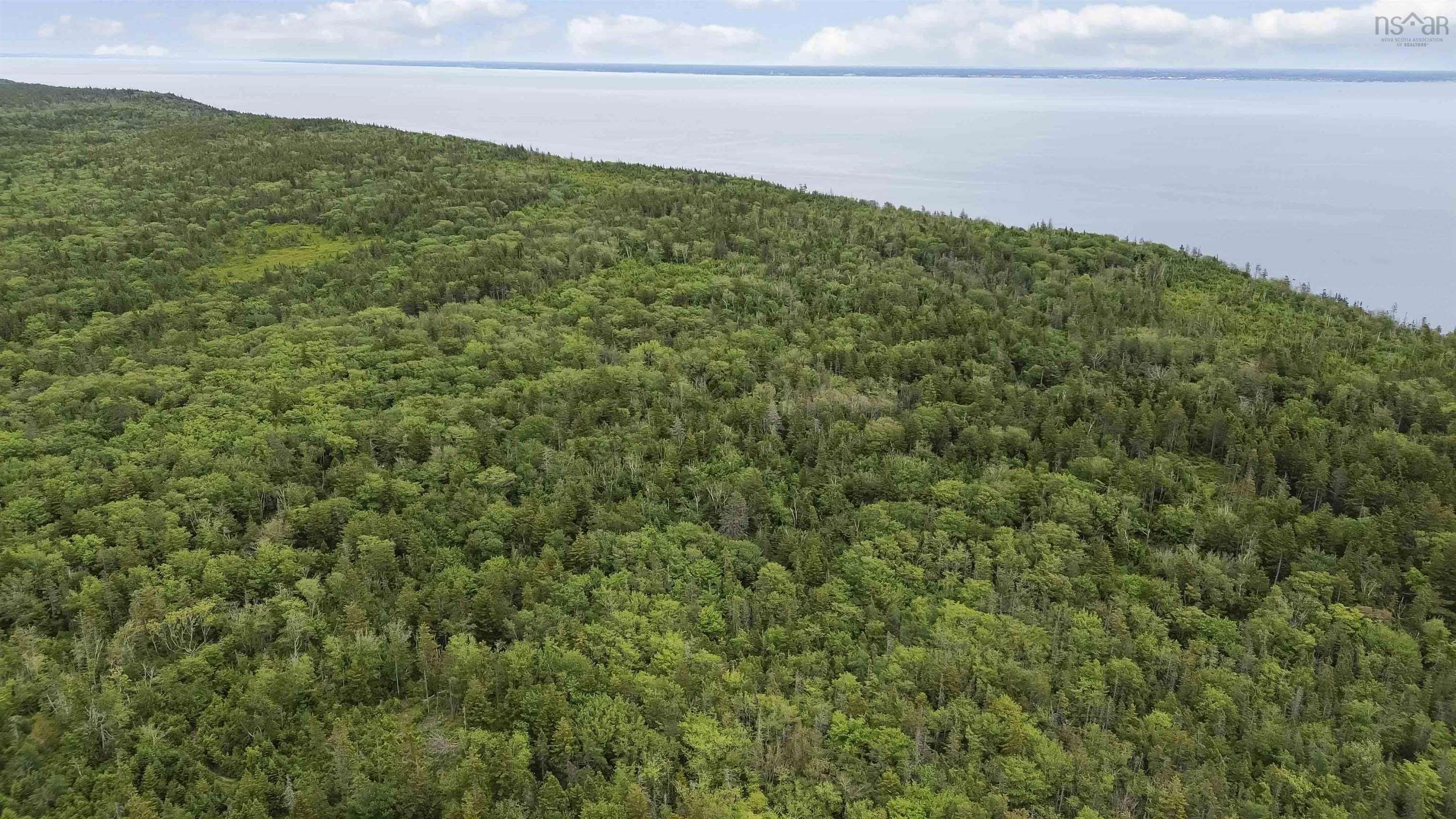 $80,000.00: Highway 217, Central Grove